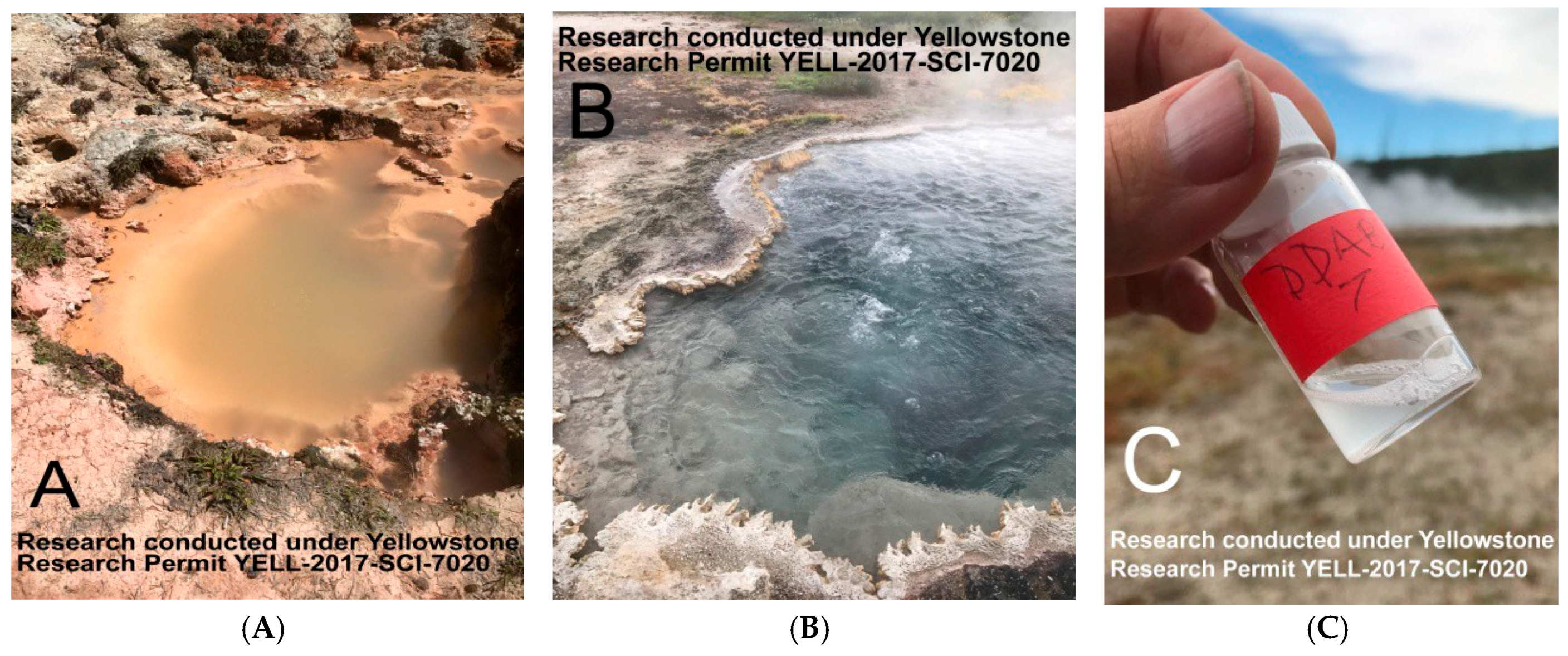 Life 08 00011 g001 550