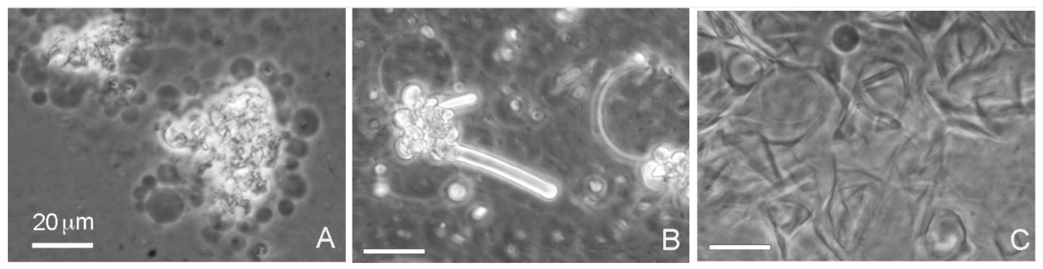 Life 08 00011 g002 550