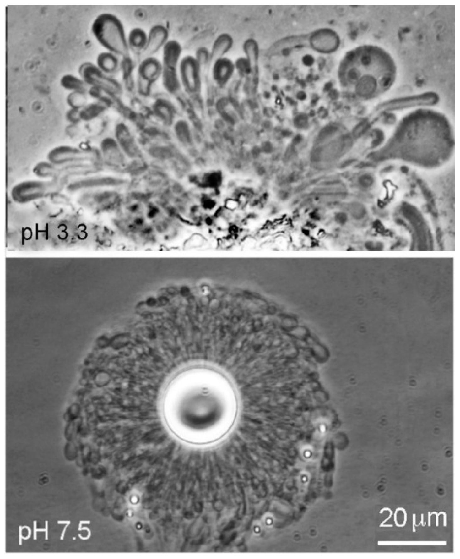 Life 08 00011 g003 550