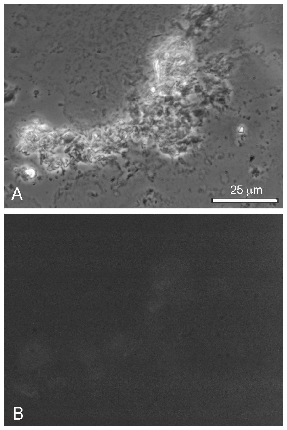 Life 08 00011 g009 550