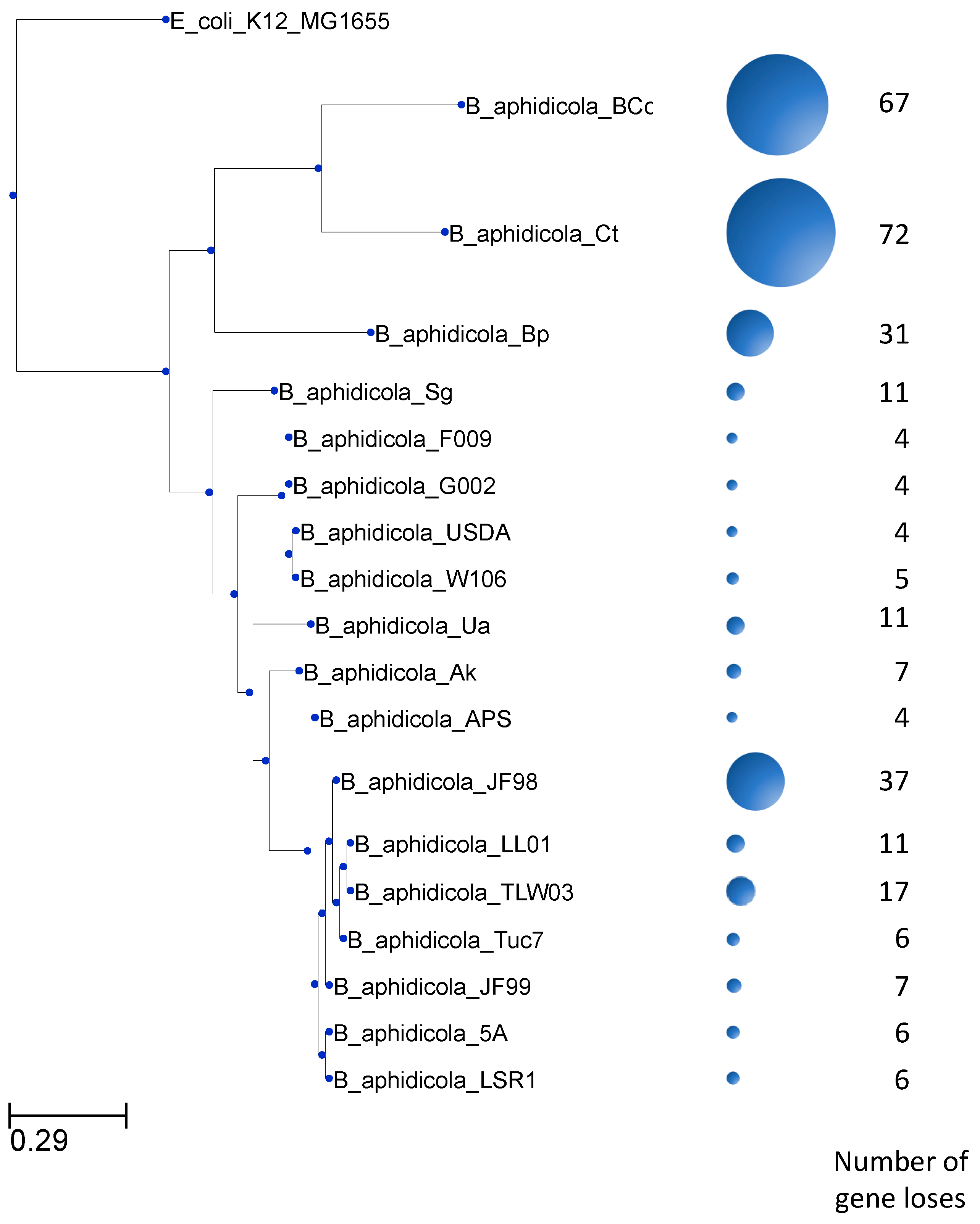 Life 08 00017 g003 Life 08 00017 g003