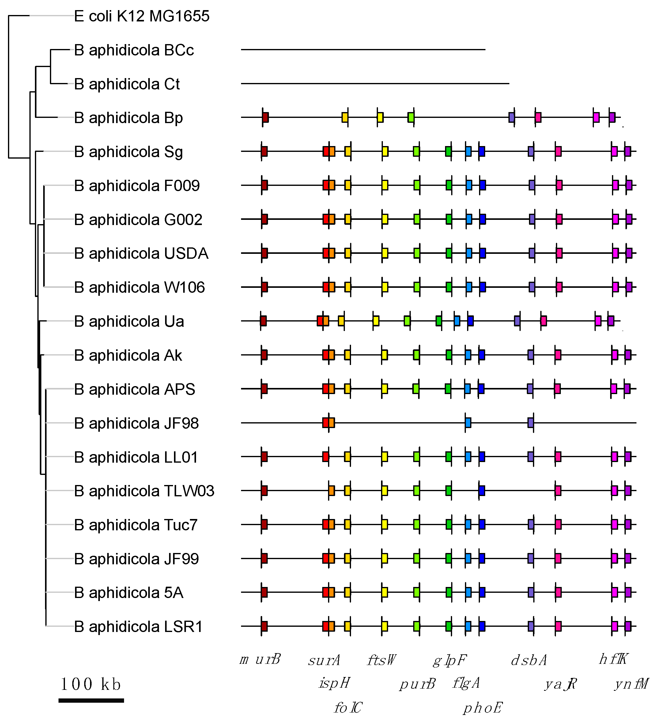 Life 08 00017 g005 Life 08 00017 g005