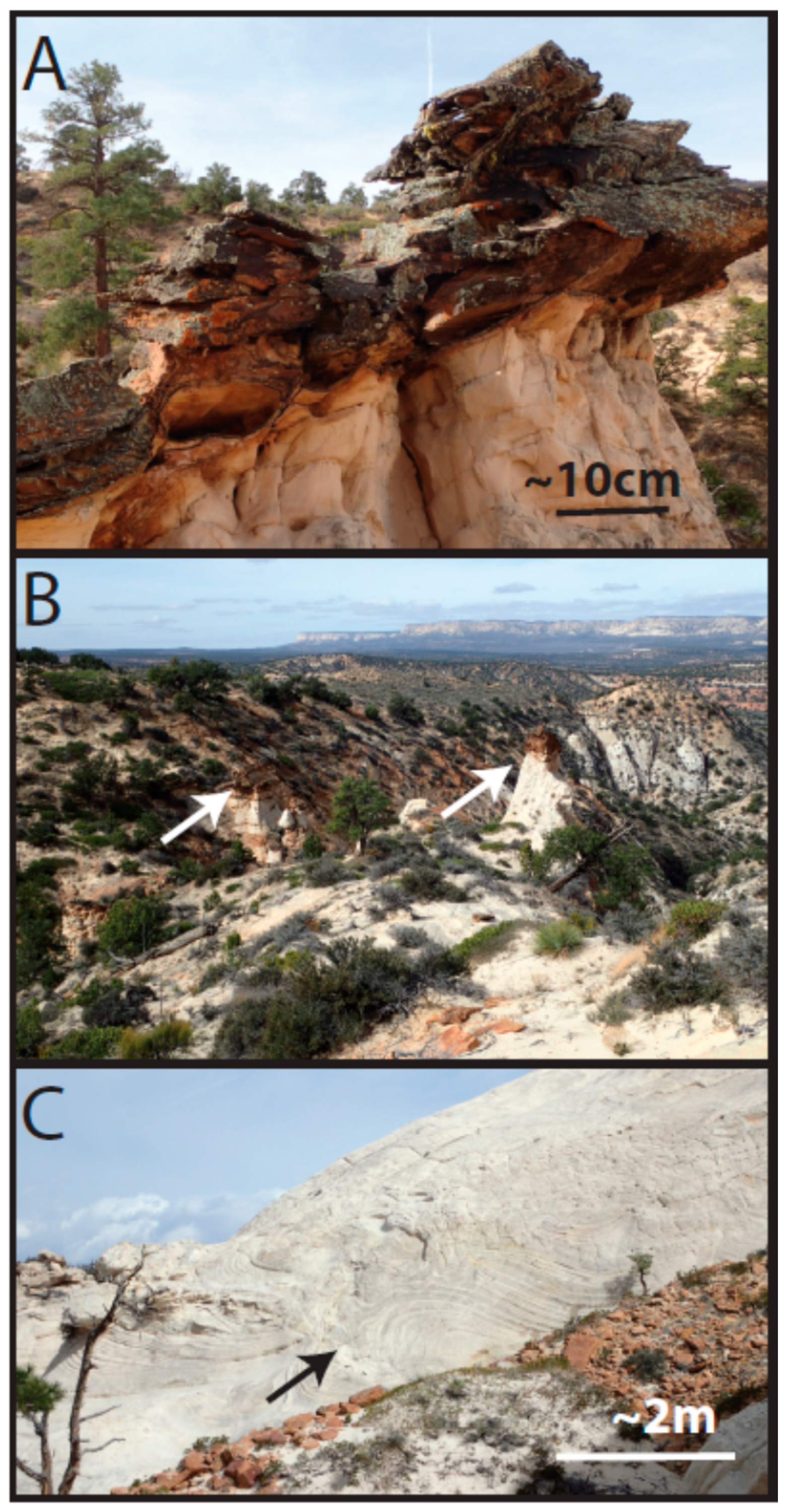 Life 08 00032 g004 Life 08 00032 g004