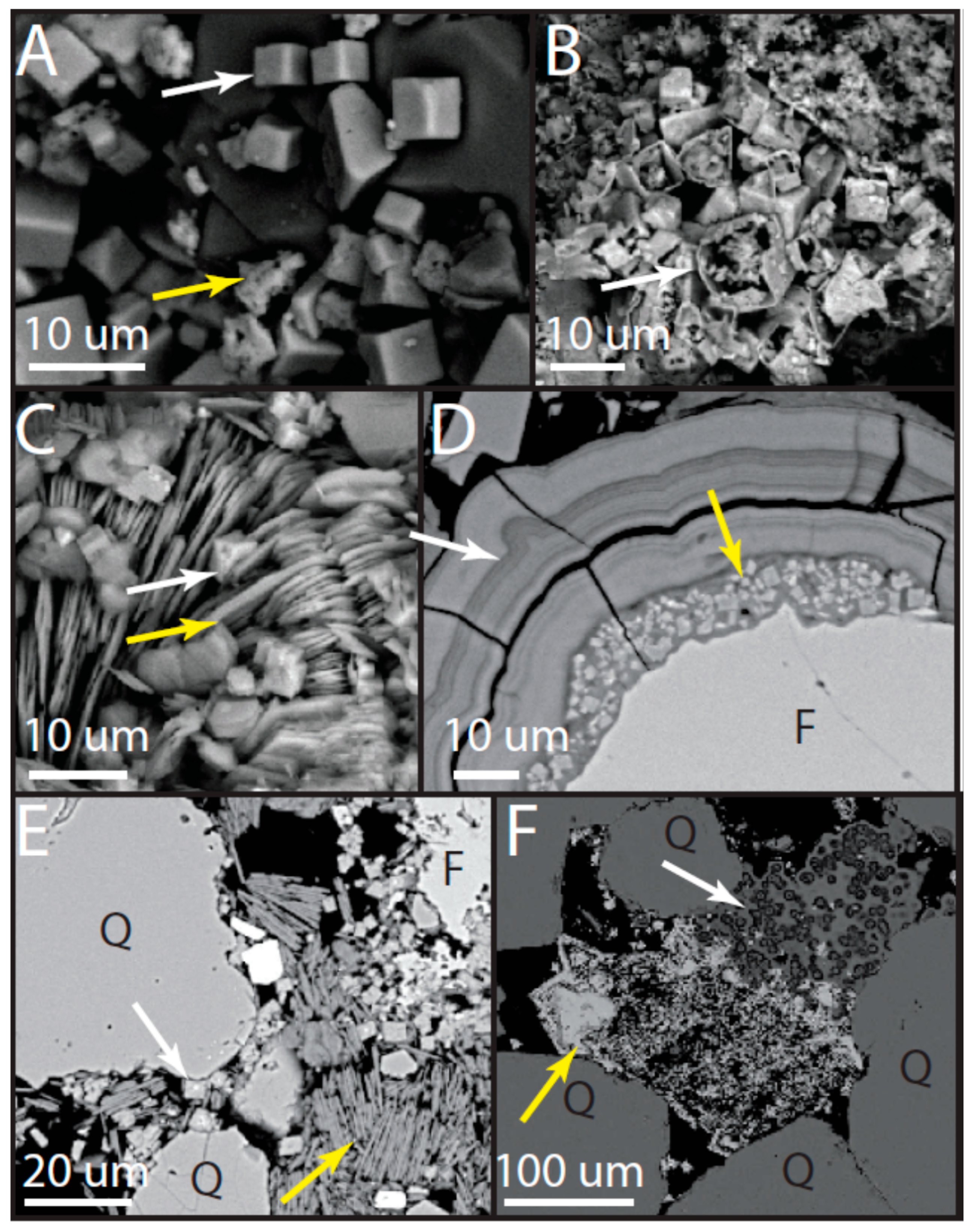 Life 08 00032 g010 Life 08 00032 g010