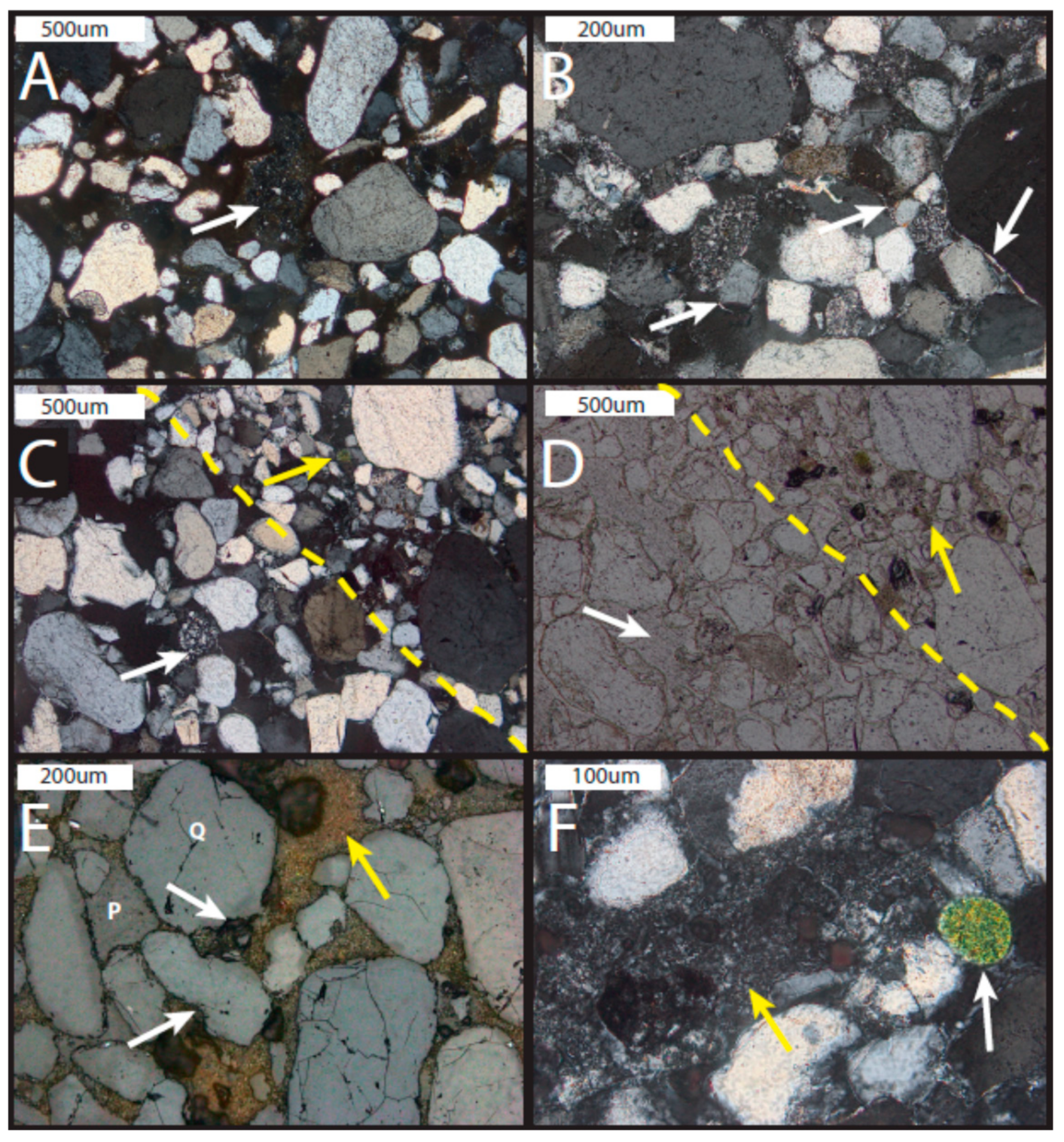 Life 08 00032 g011 Life 08 00032 g011