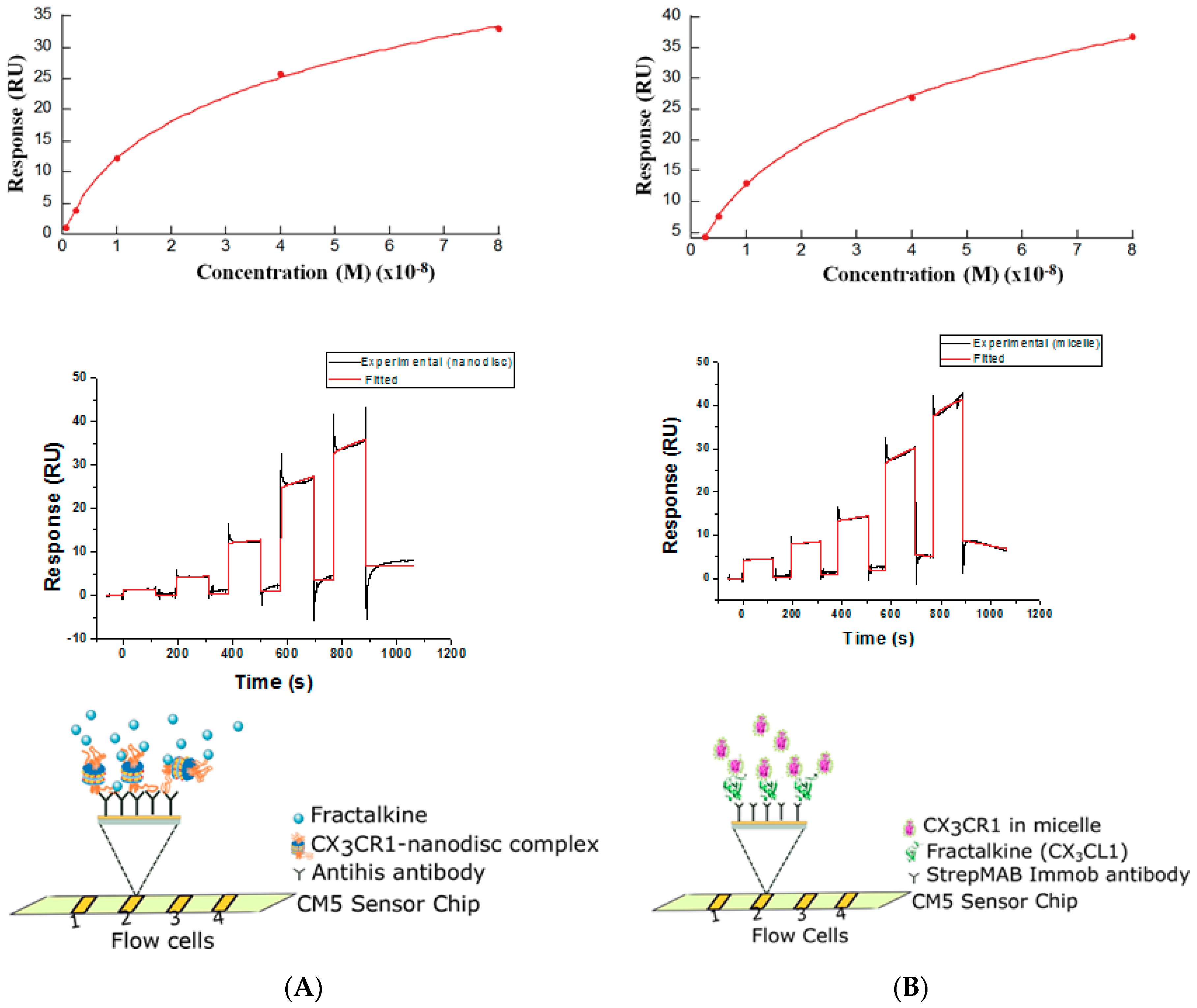 Life 08 00054 g004 Life 08 00054 g004