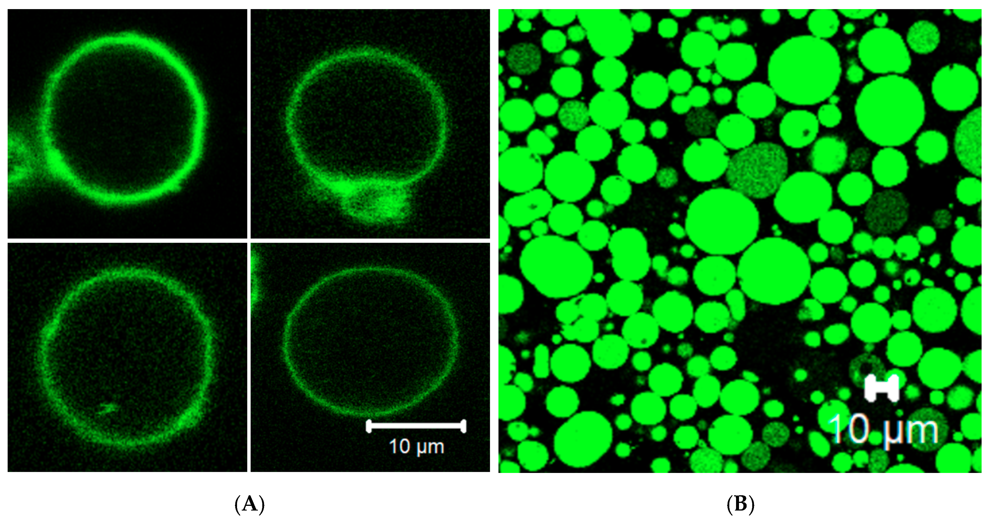 Life 08 00054 g005 Life 08 00054 g005