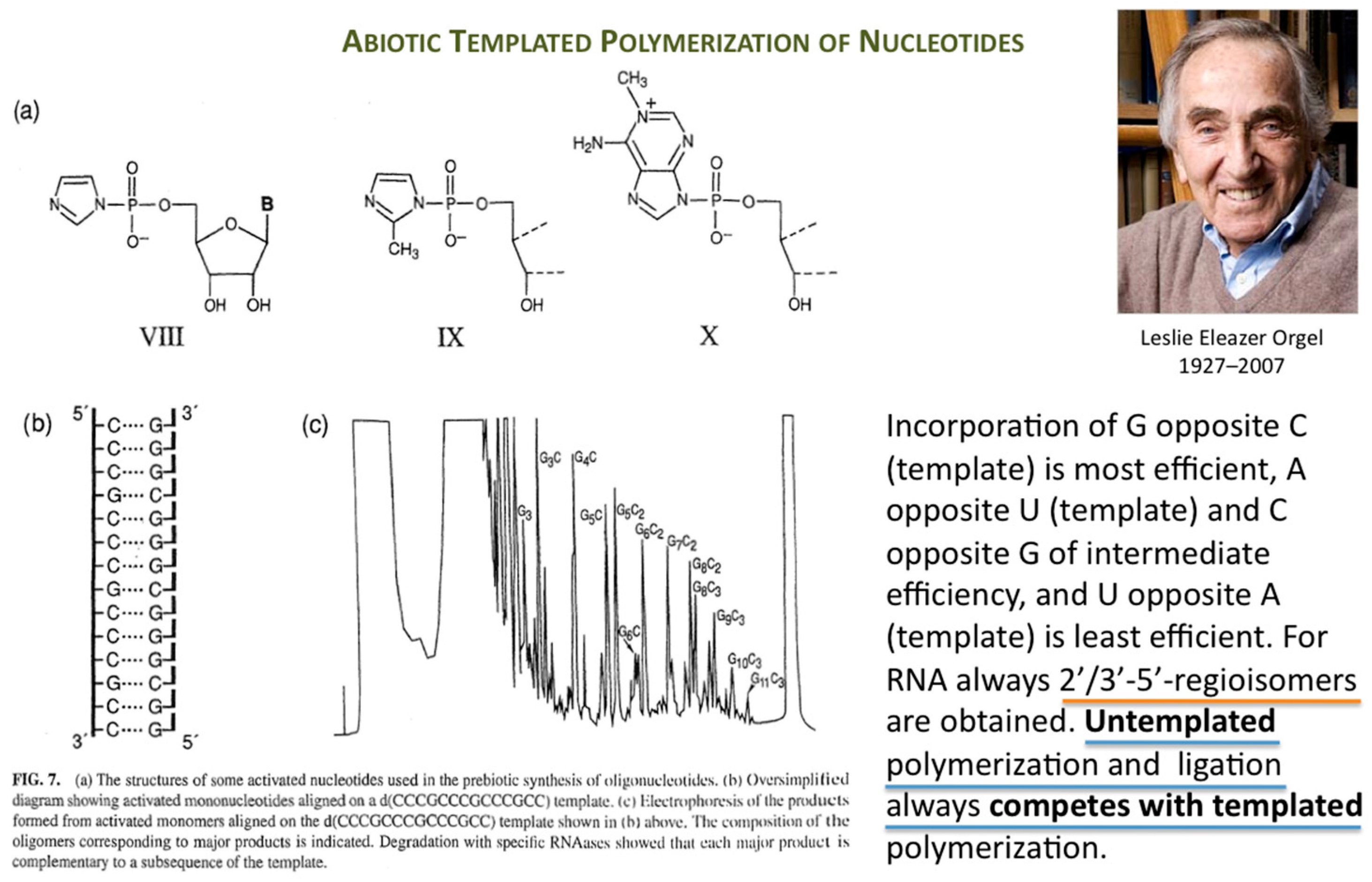Life 09 00011 g001 550