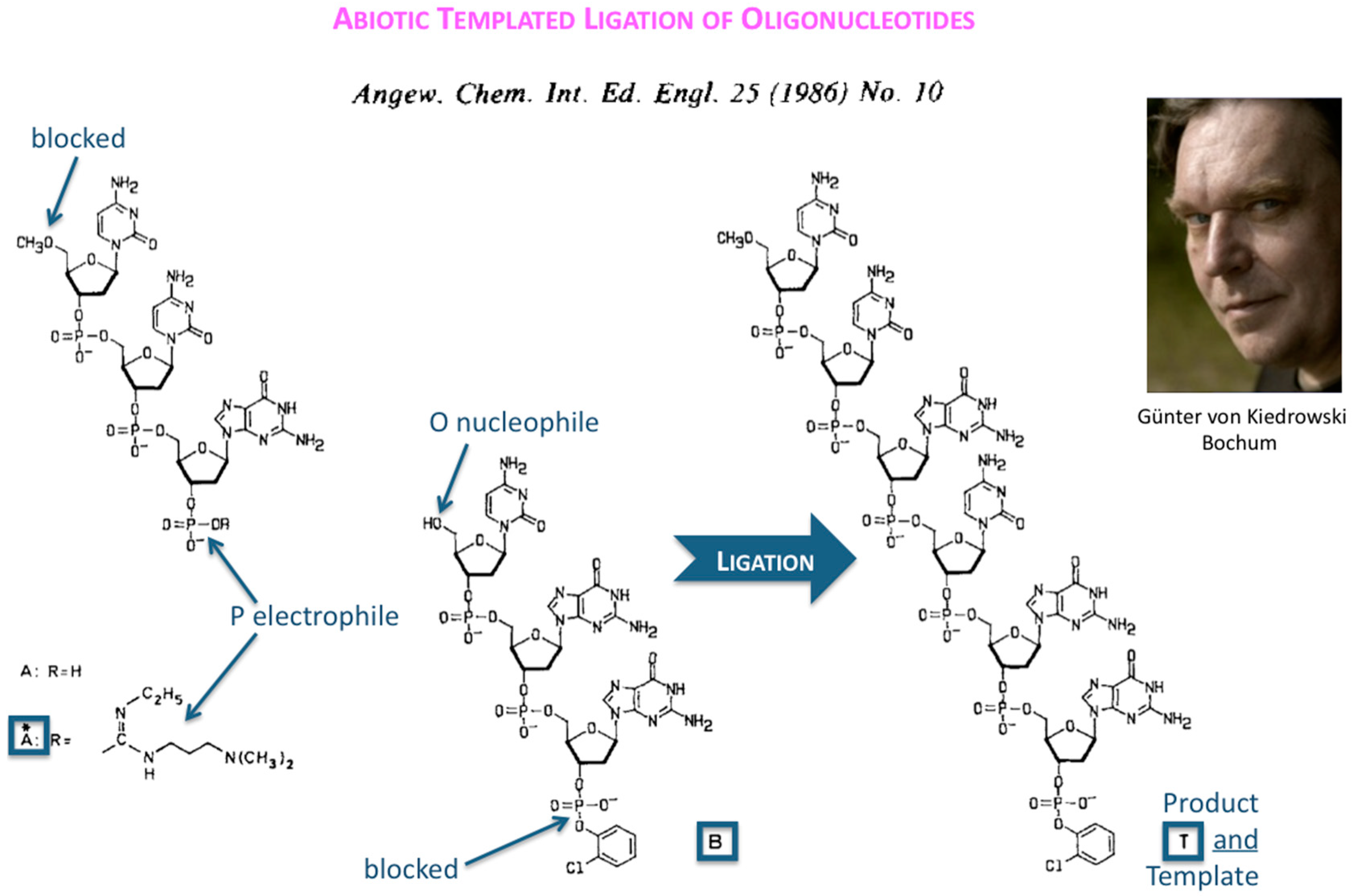 Life 09 00011 g002 550