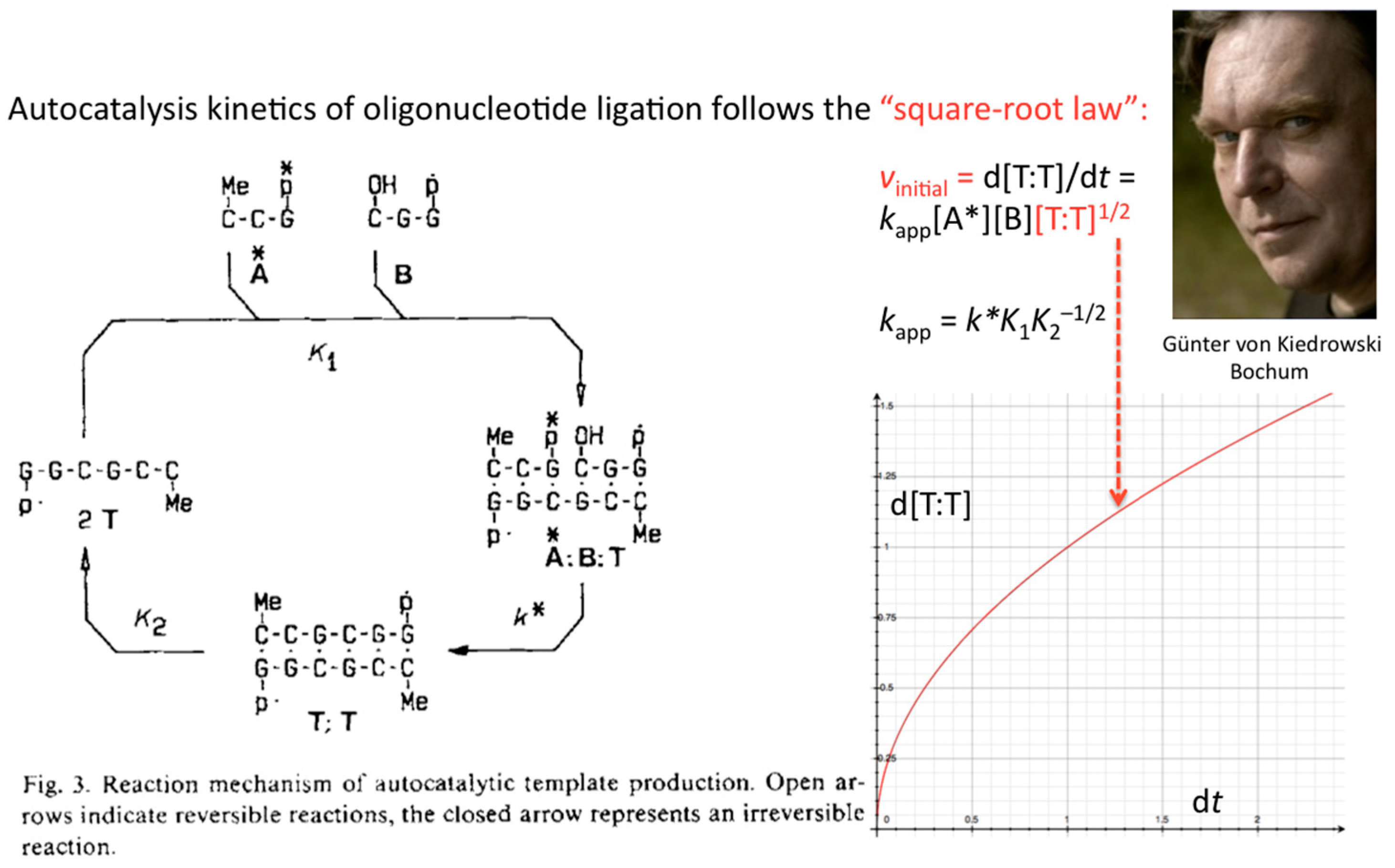 Life 09 00011 g003 550