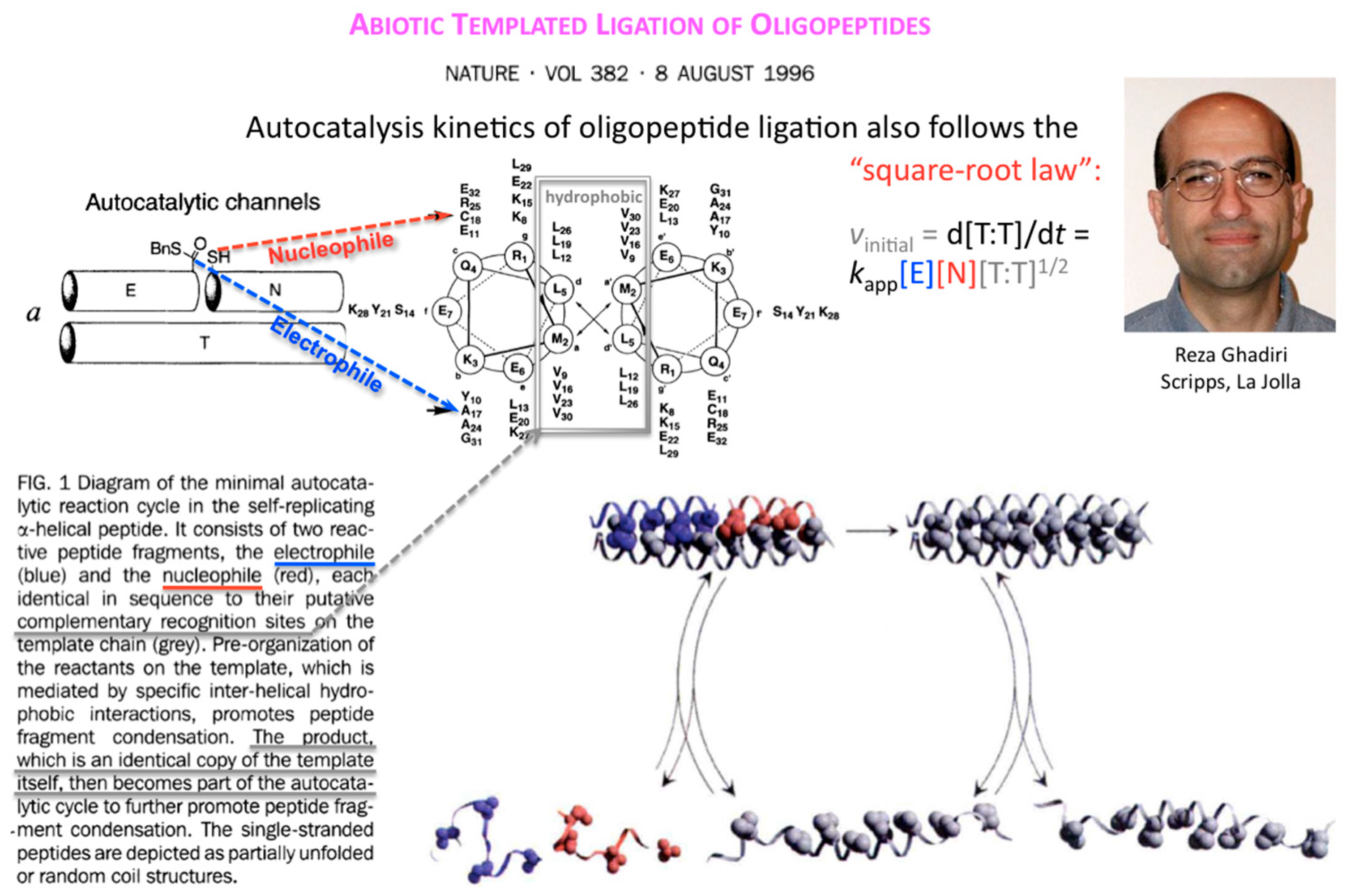 Life 09 00011 g004 550
