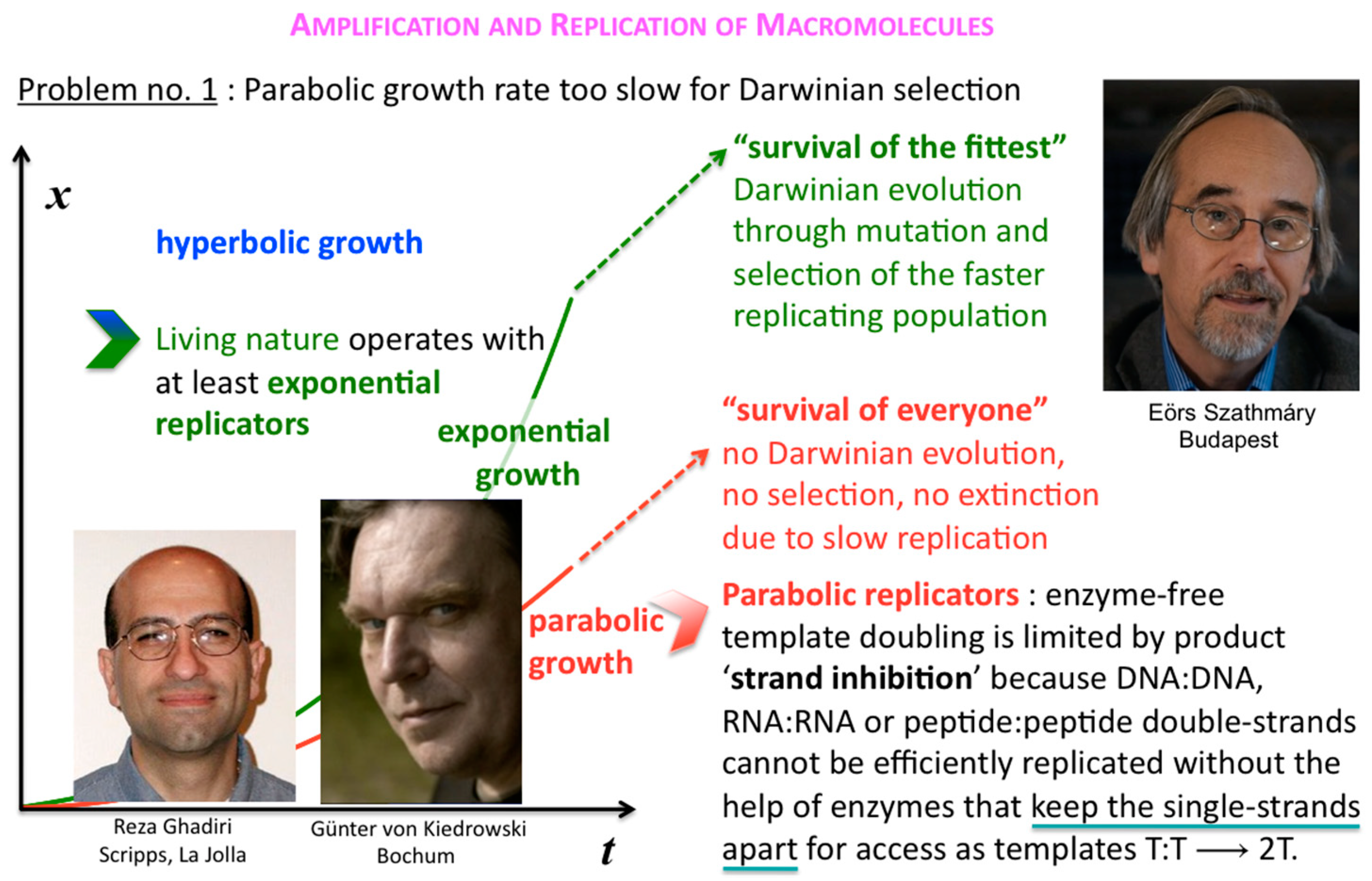 Life 09 00011 g006 550