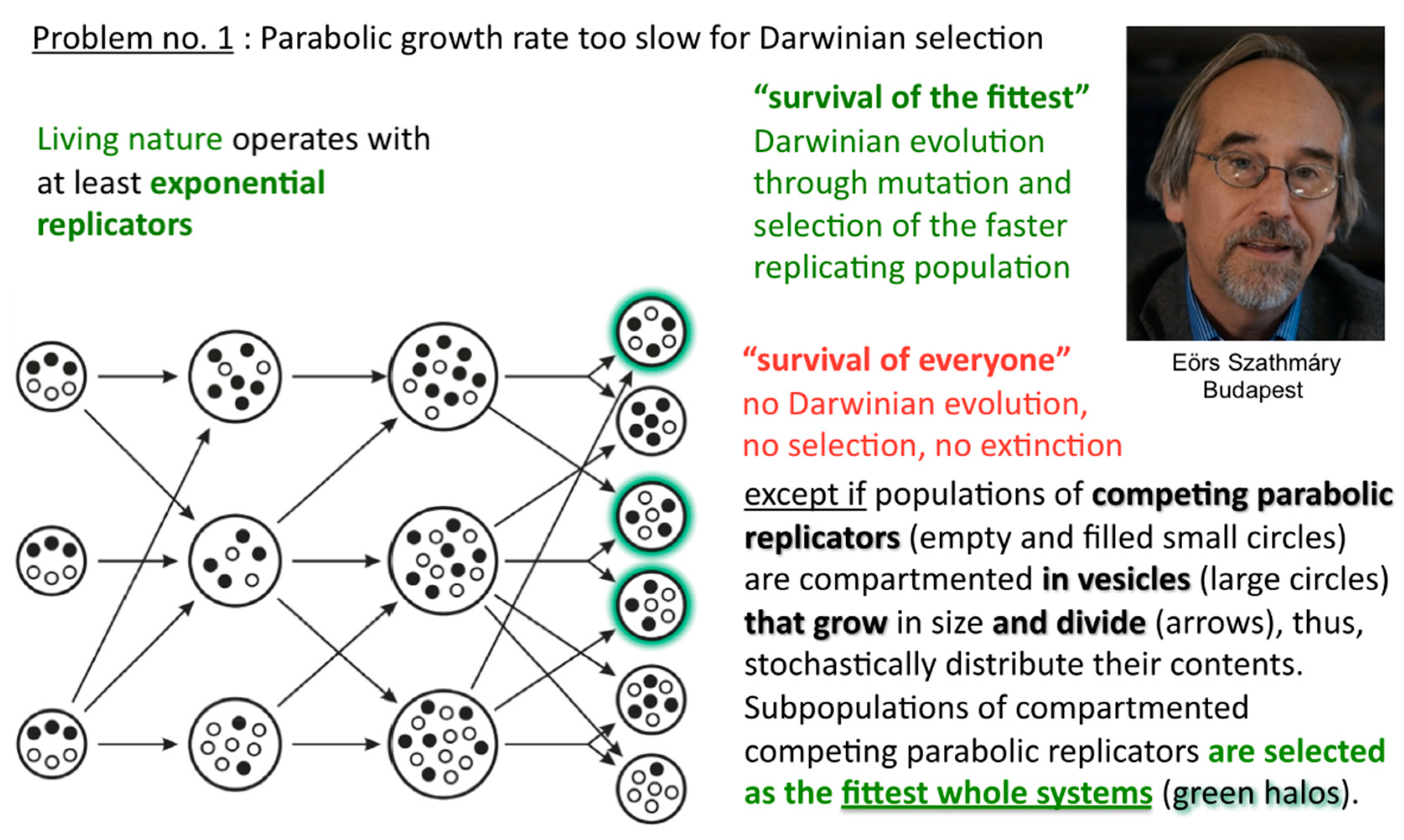 Life 09 00011 g007 550