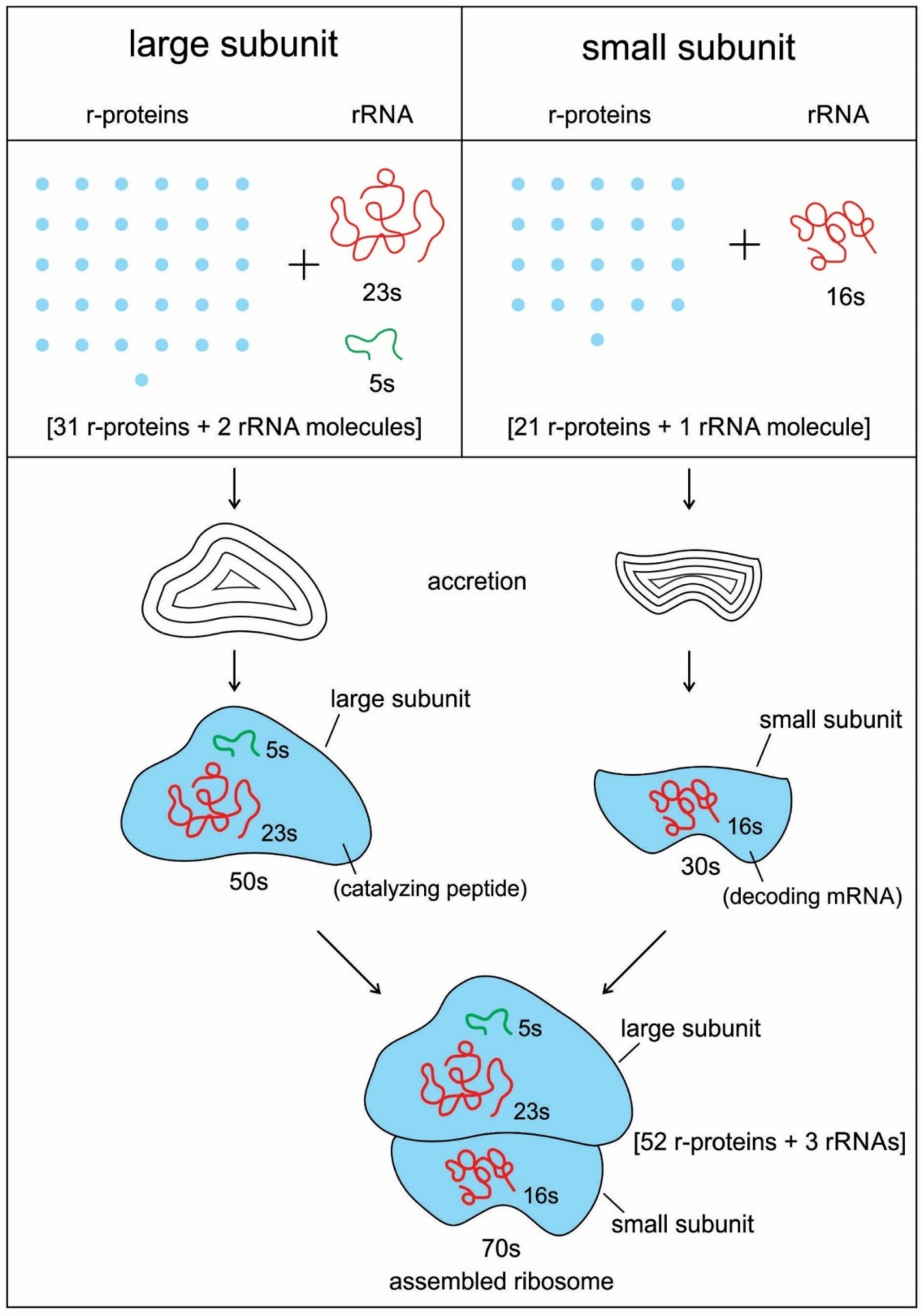 Life 09 00025 g006 550