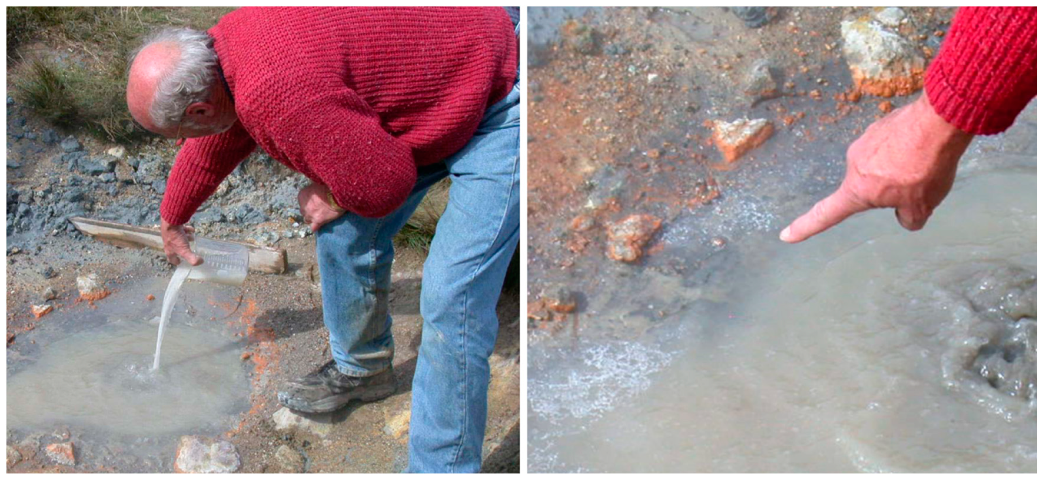 Life 09 00036 g007 550