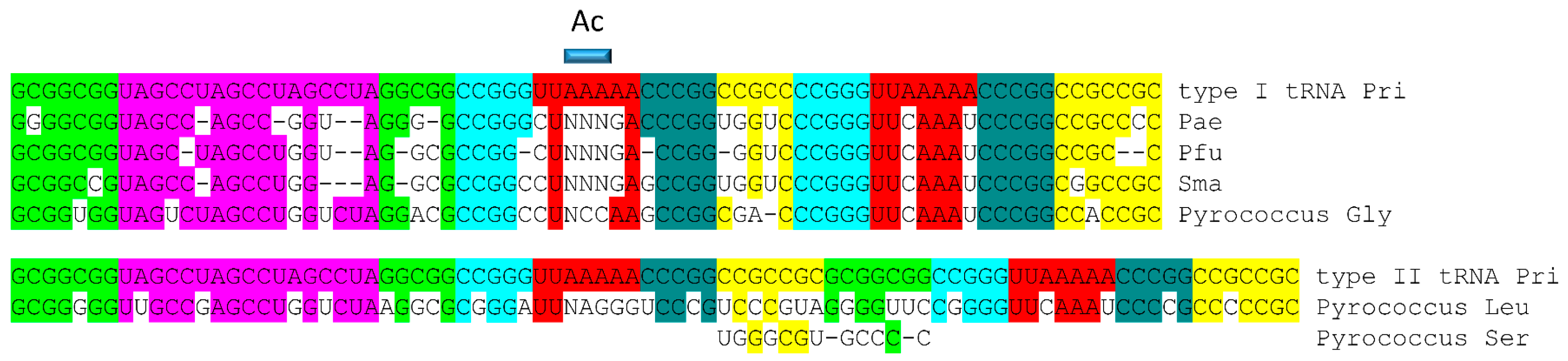 Life 09 00037 g004 Life 09 00037 g004