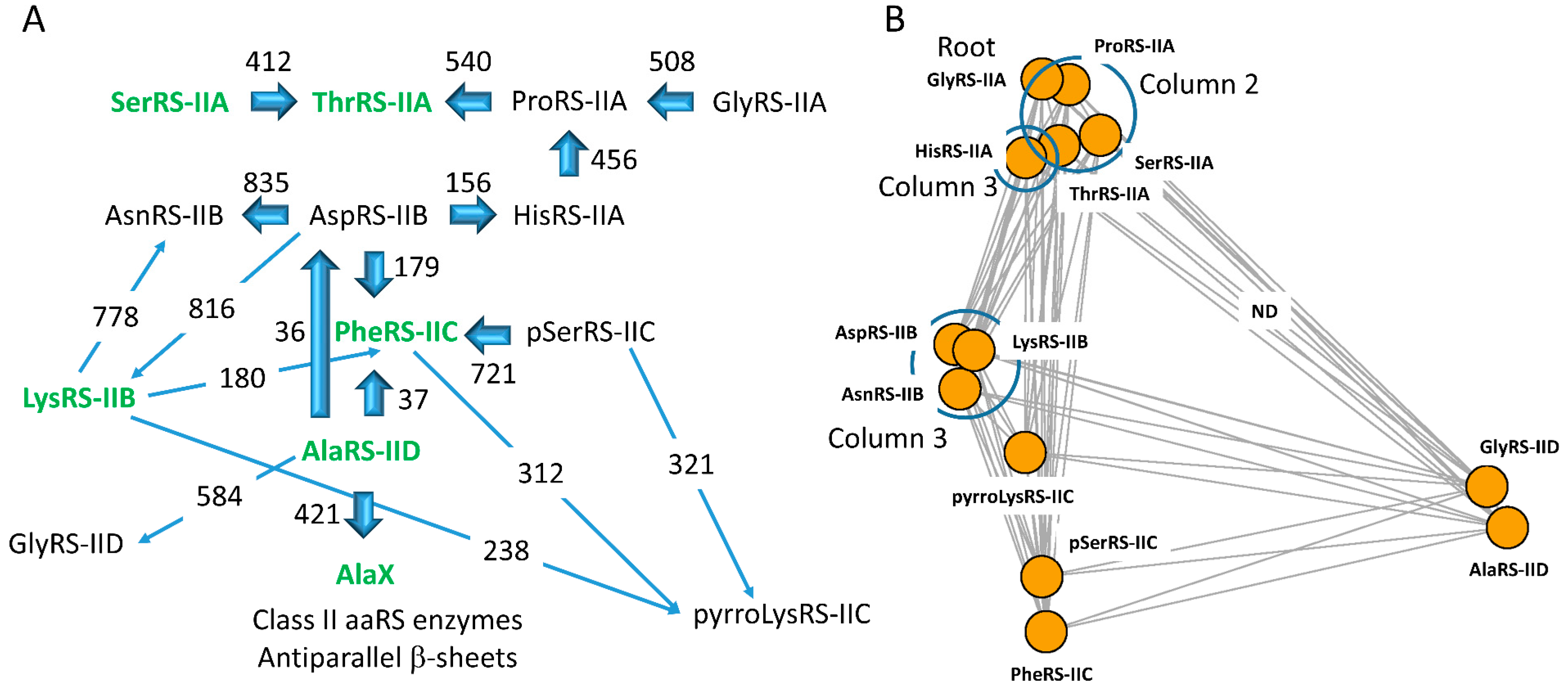 Life 09 00037 g006 Life 09 00037 g006