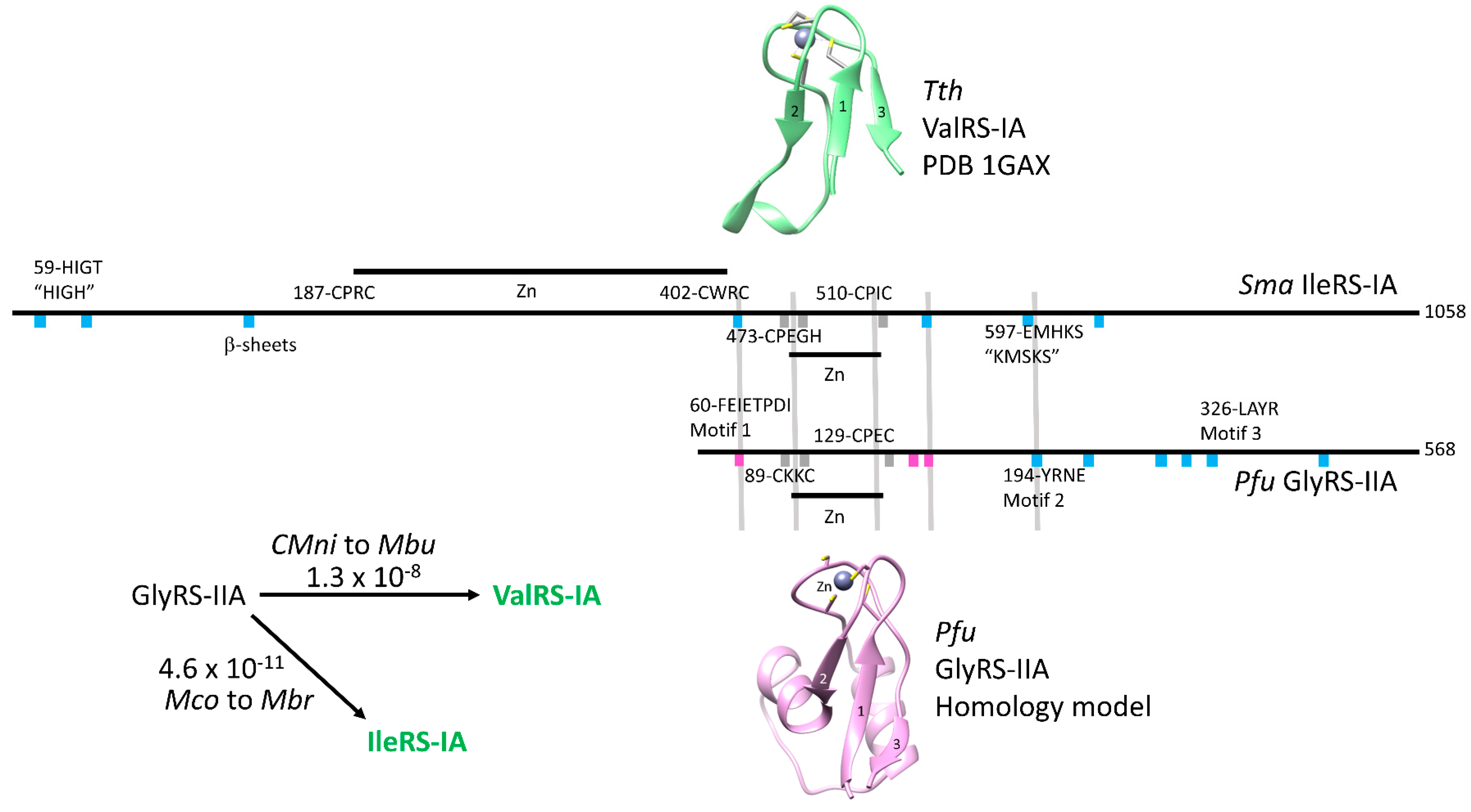 Life 09 00037 g008 Life 09 00037 g008