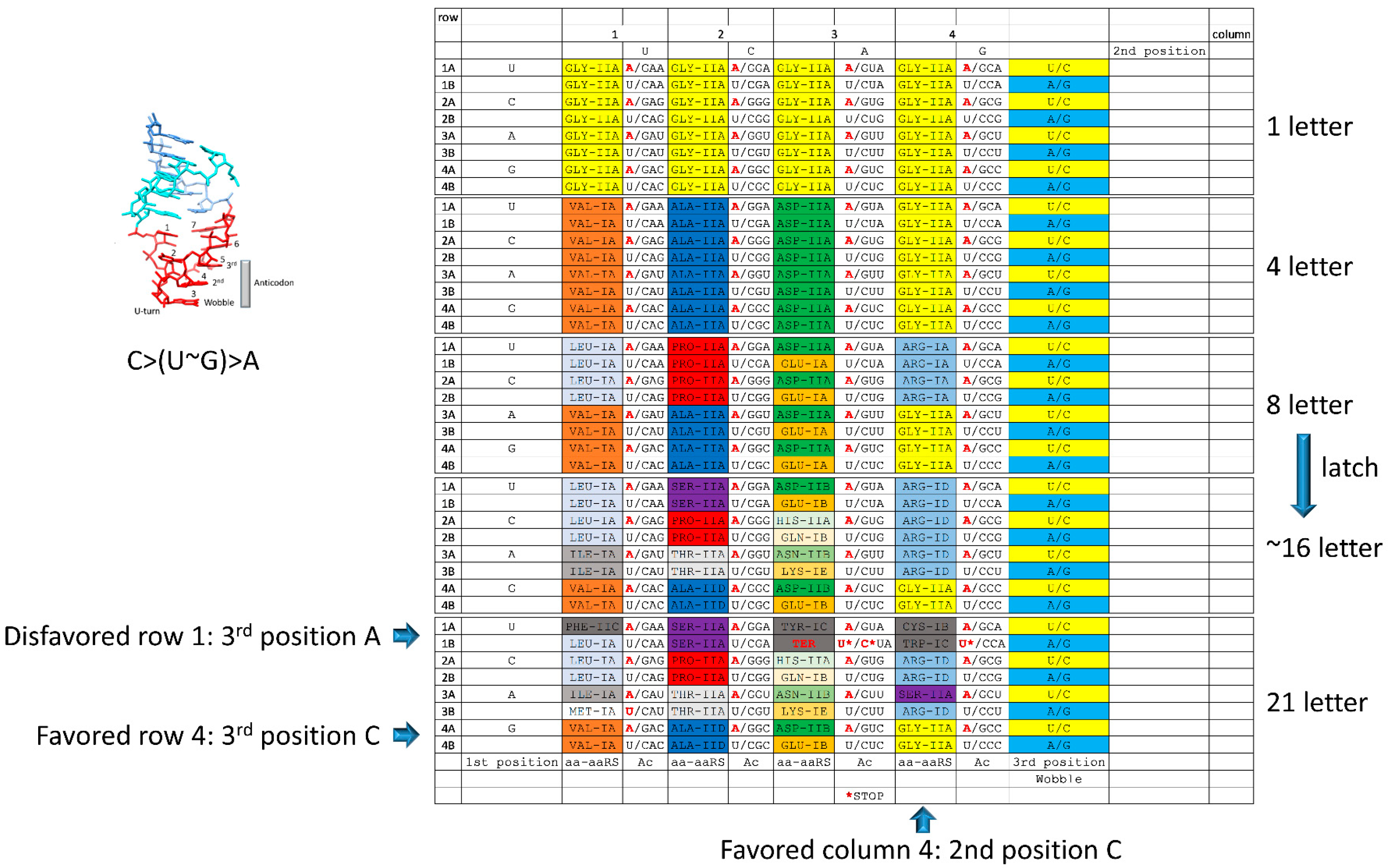 Life 09 00037 g011 Life 09 00037 g011