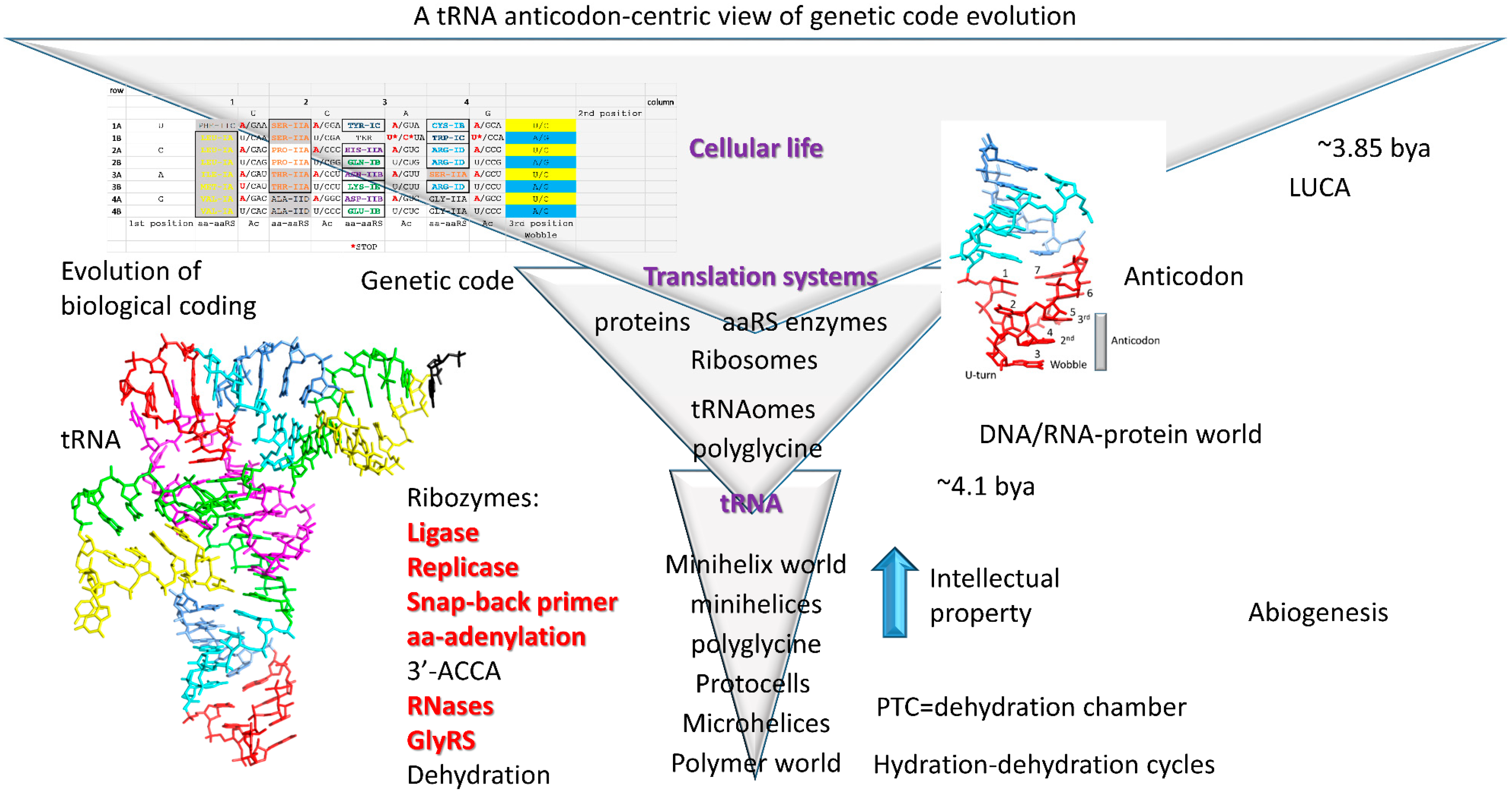 Life 09 00037 g012 Life 09 00037 g012