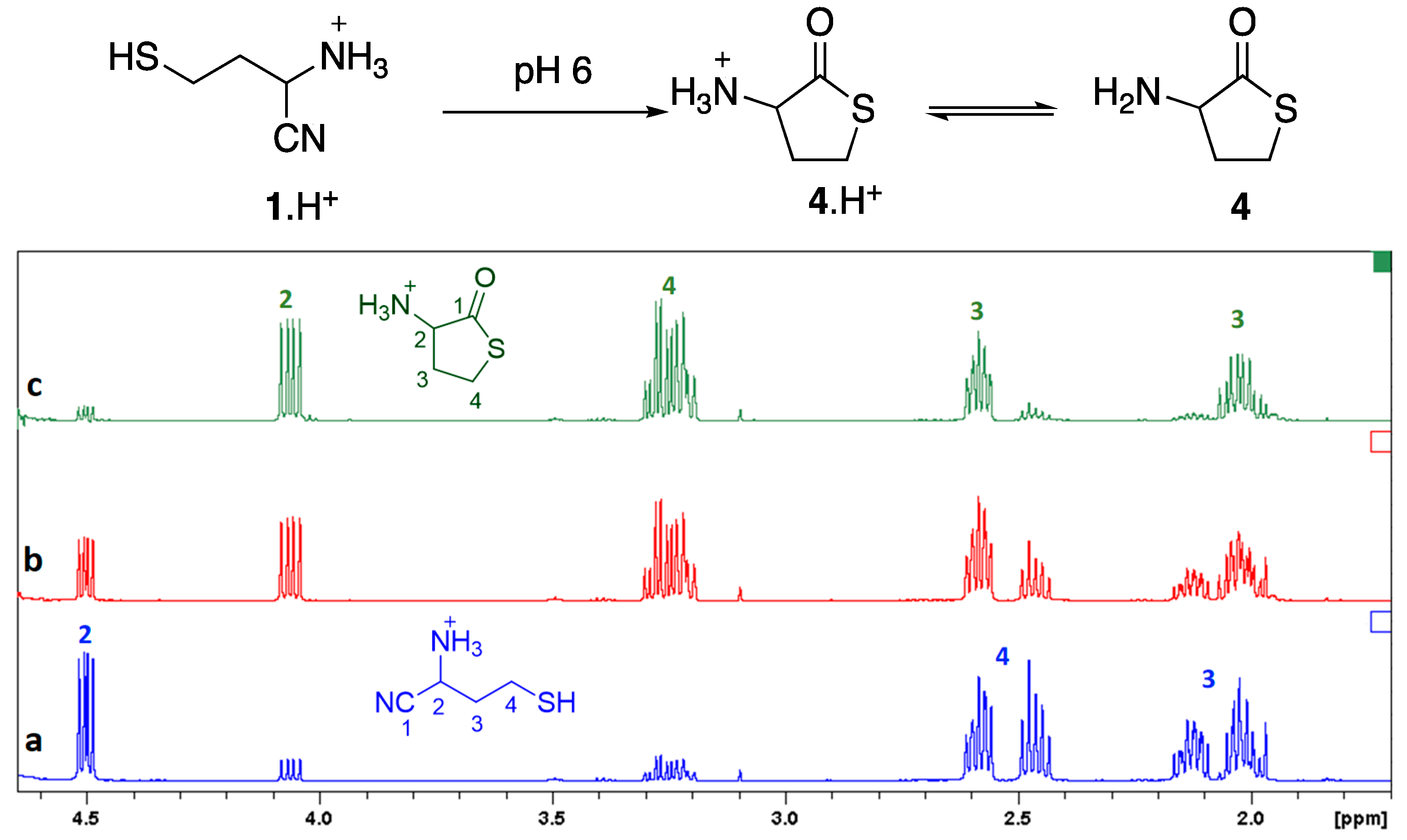 Life 09 00040 g003 Life 09 00040 g003