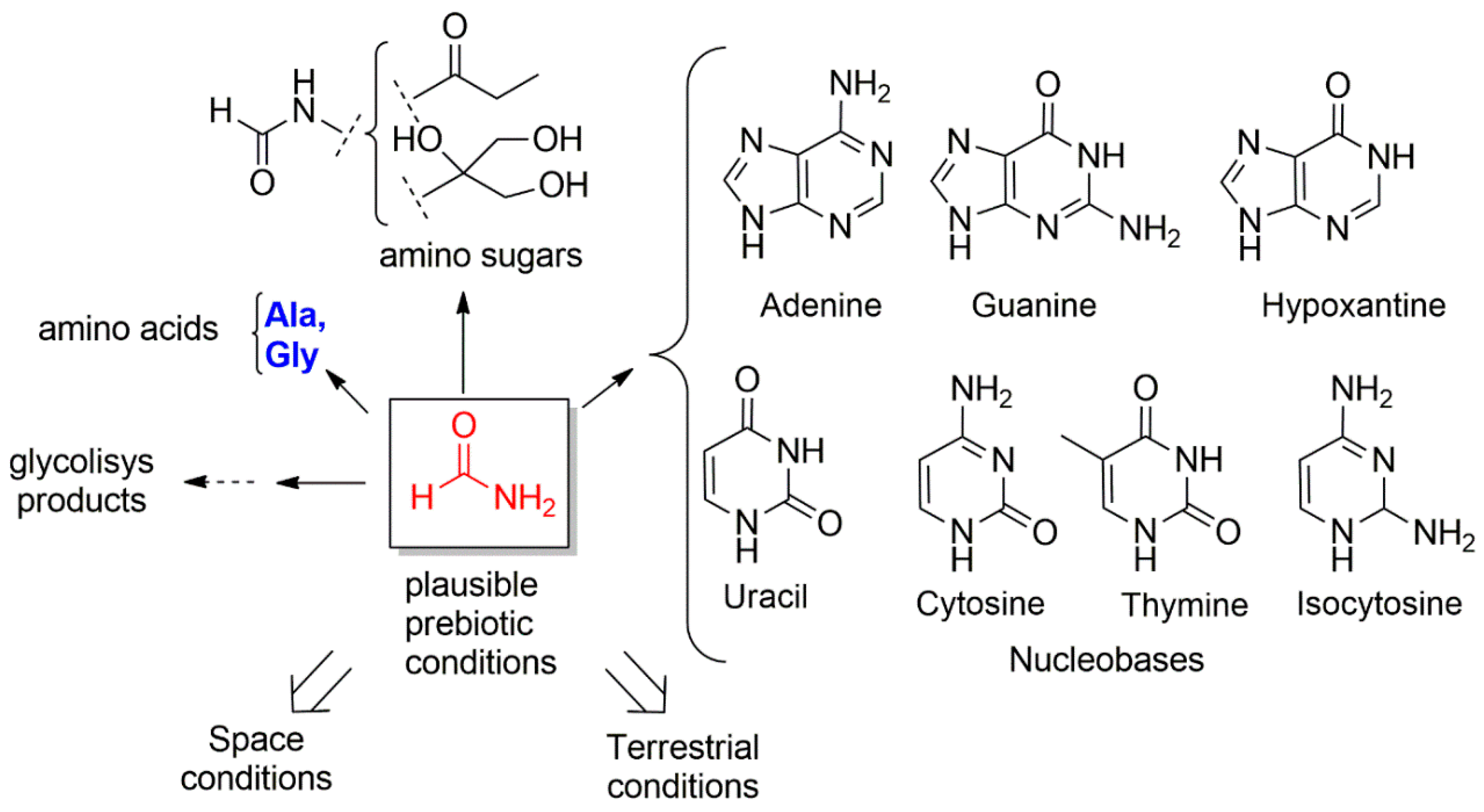 Life 09 00049 g001 Life 09 00049 g001