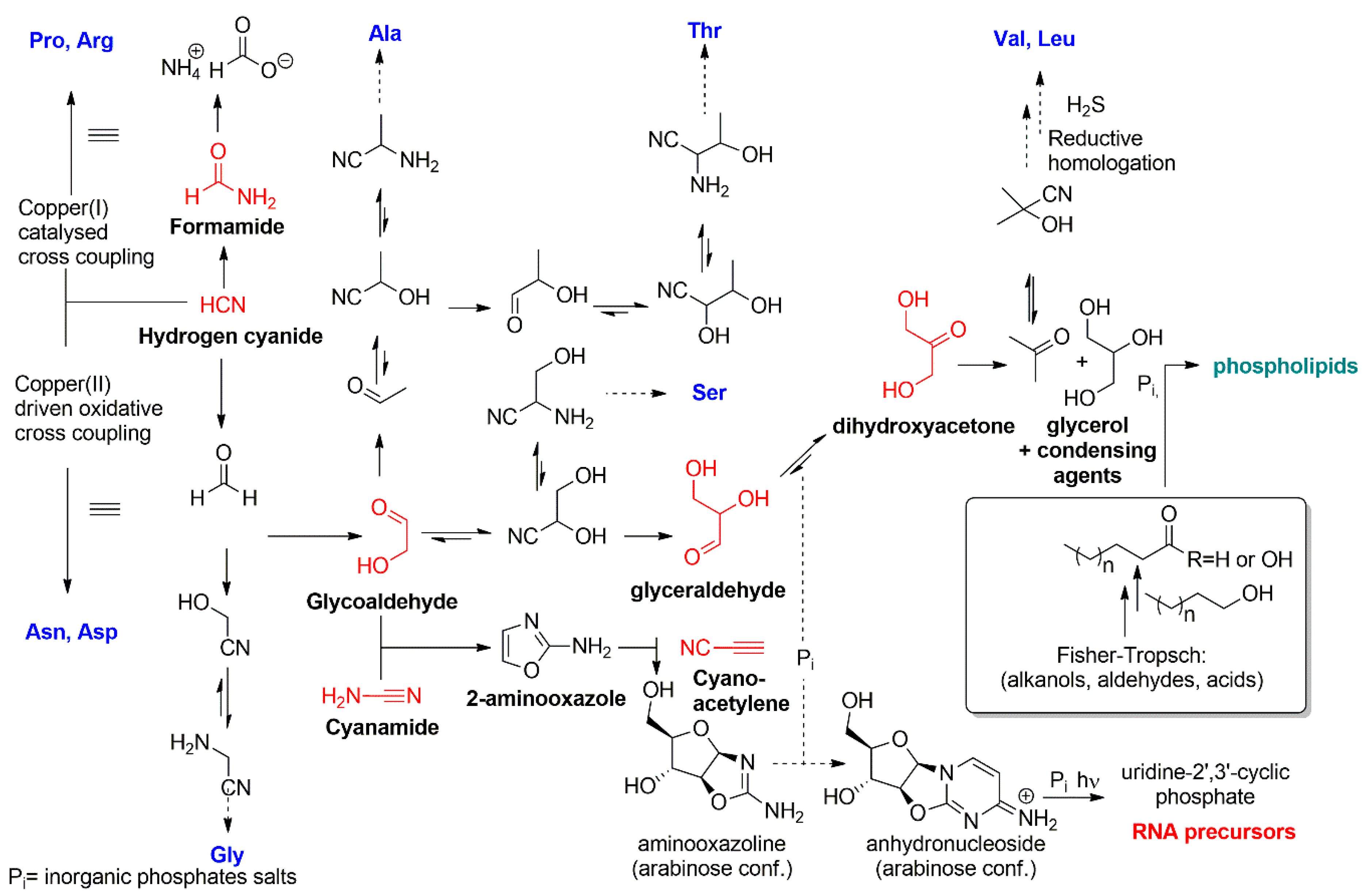 Life 09 00049 g002 Life 09 00049 g002