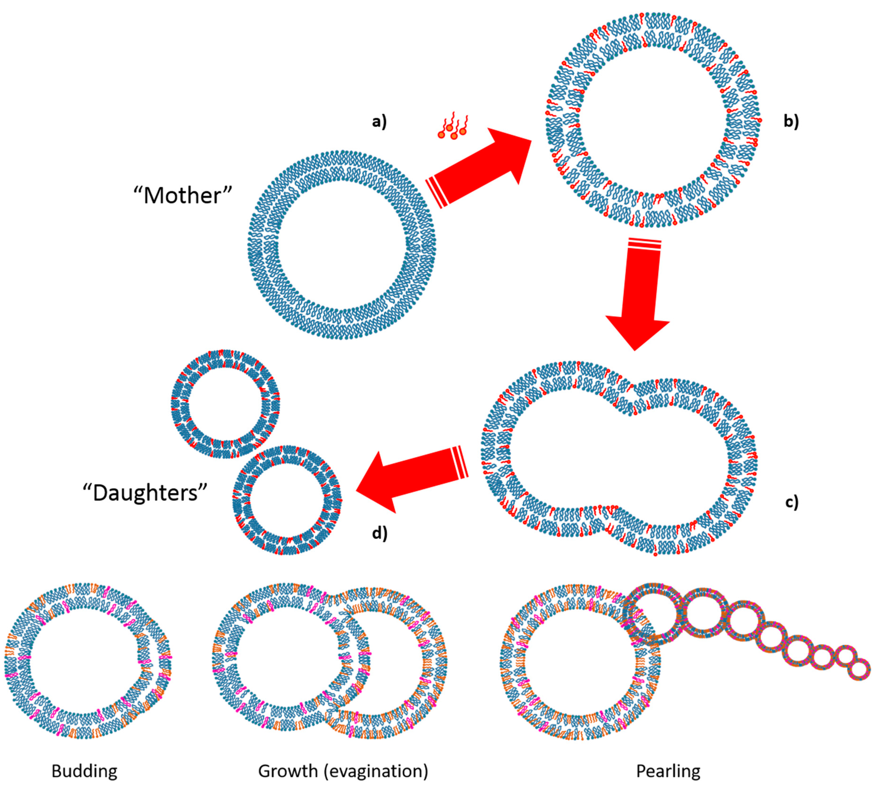 Life 09 00049 g007 Life 09 00049 g007