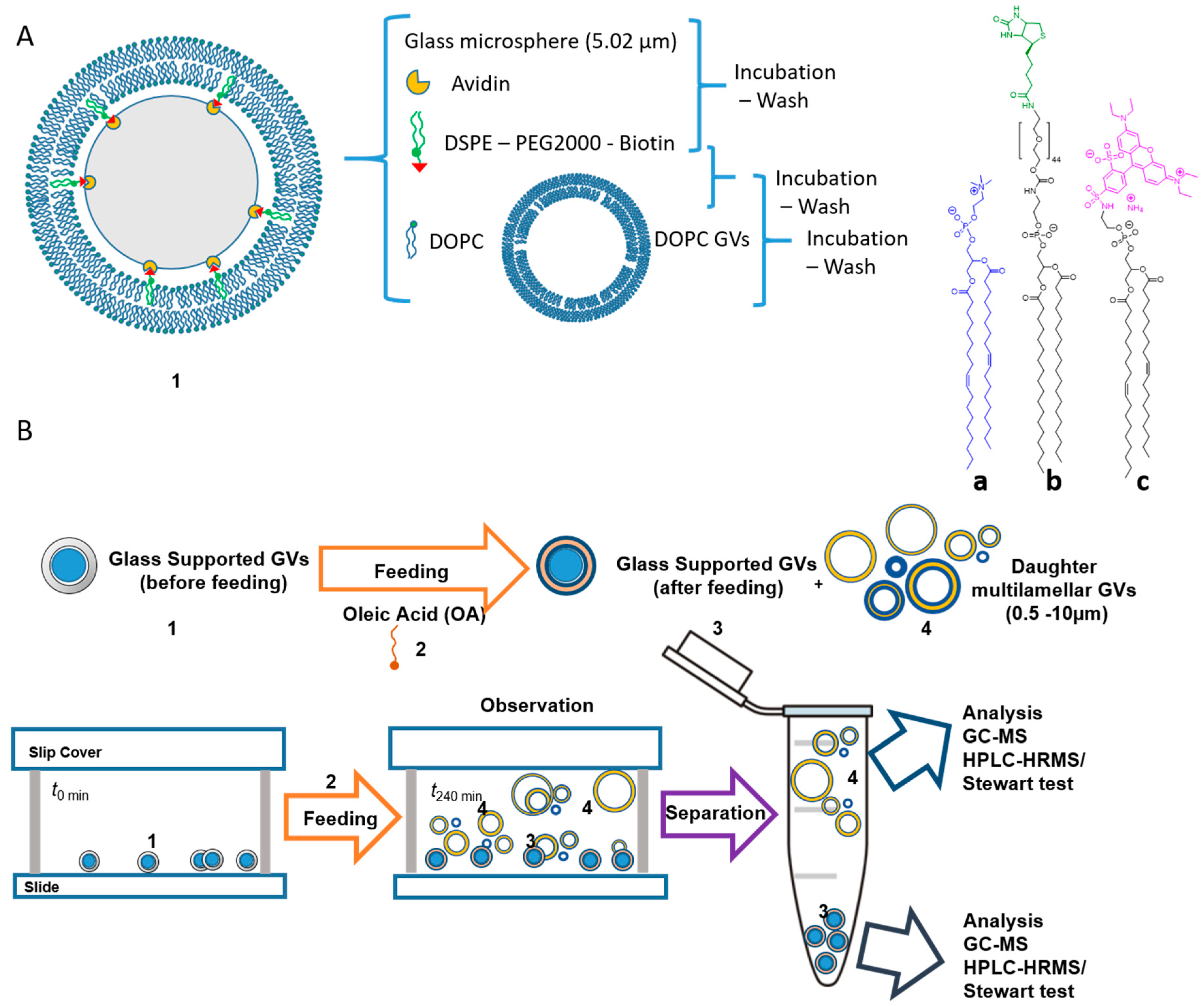 Life 09 00049 g008 Life 09 00049 g008