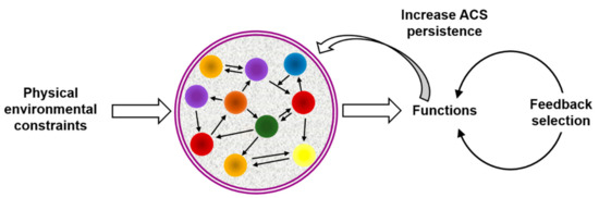 Is abiogenesis proven image