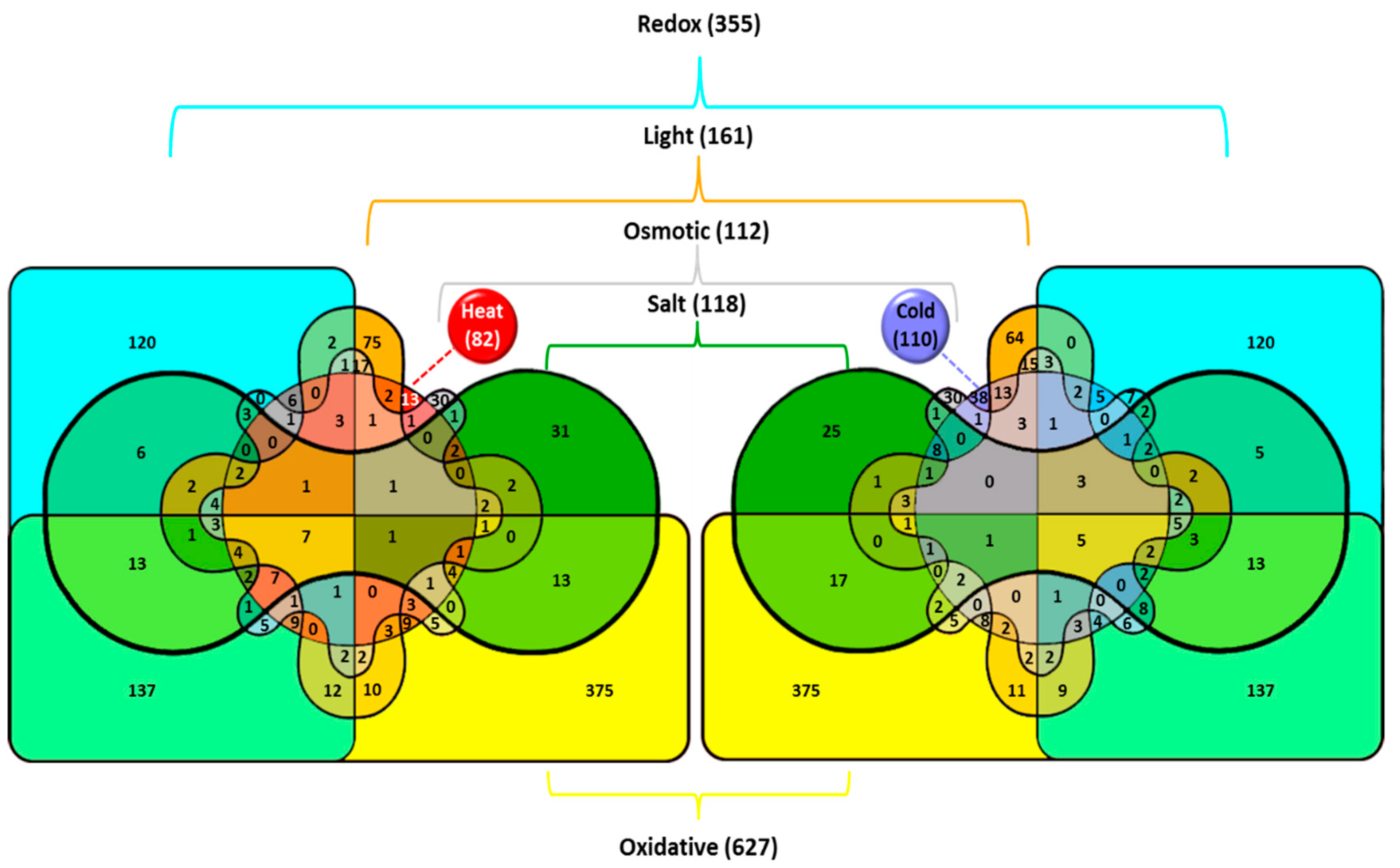 Life 09 00067 g001