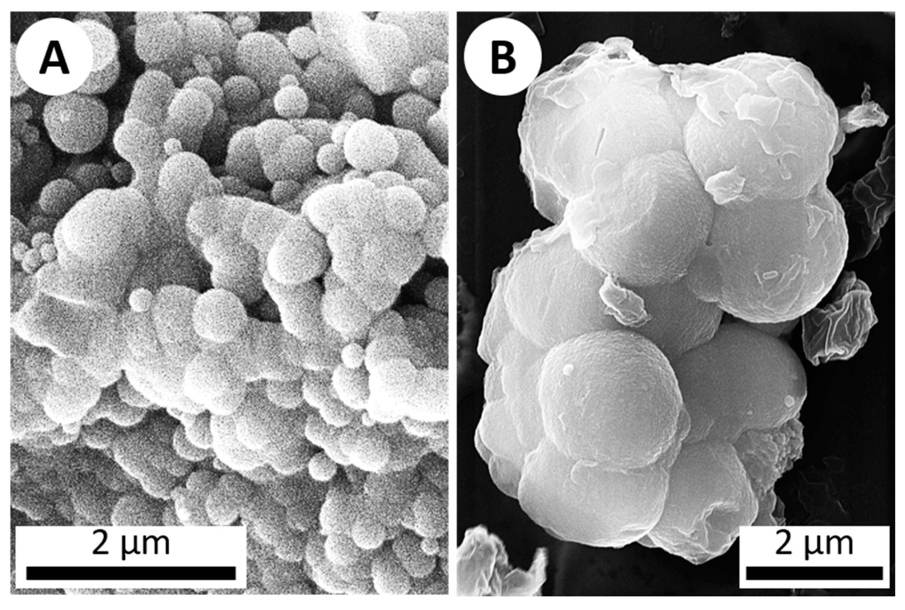 Life 10 00003 g003 Life 10 00003 g003