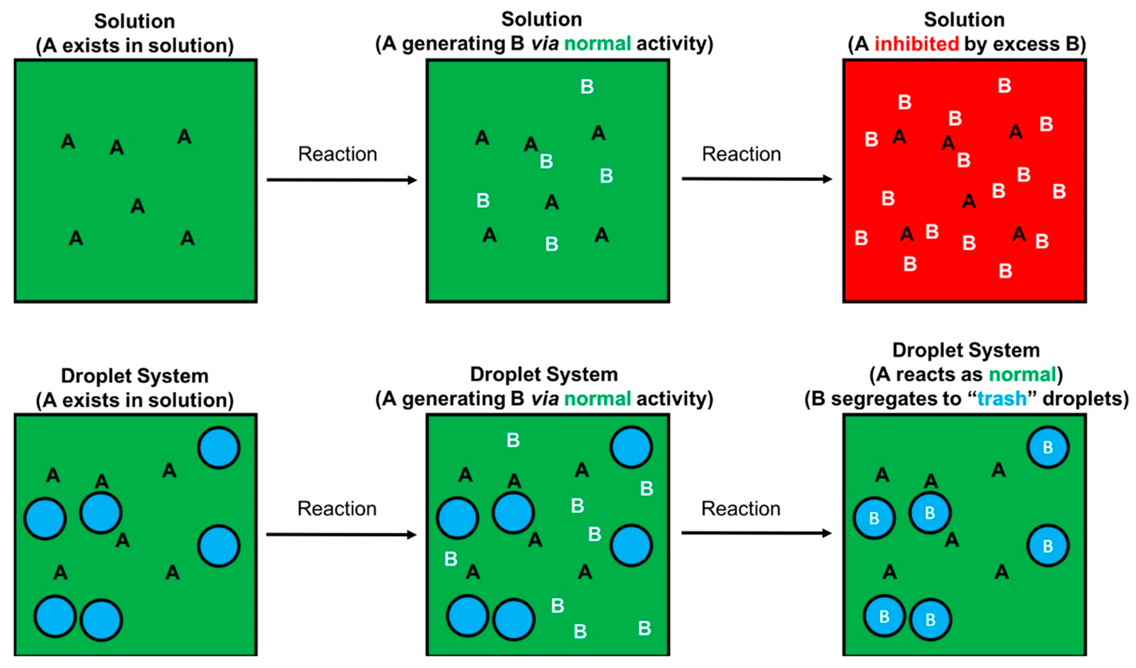Life 10 00006 g005 Life 10 00006 g005