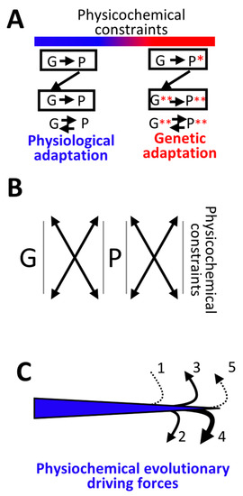 Life 10 00007 g006 550
