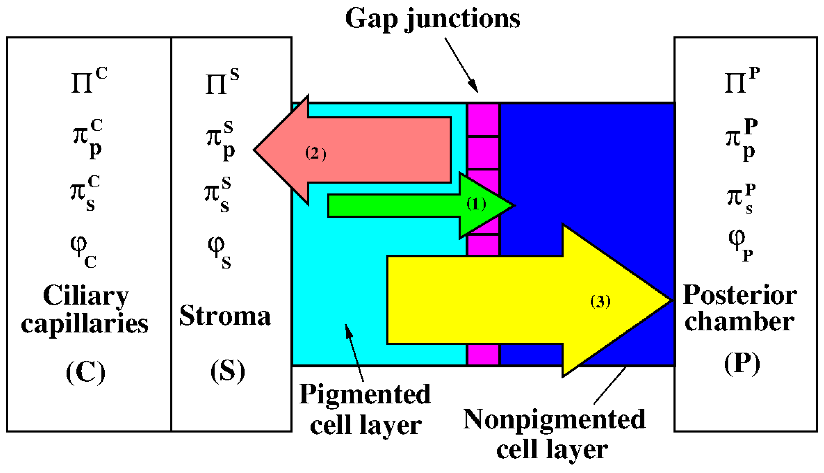 Life 10 00008 g002 Life 10 00008 g002