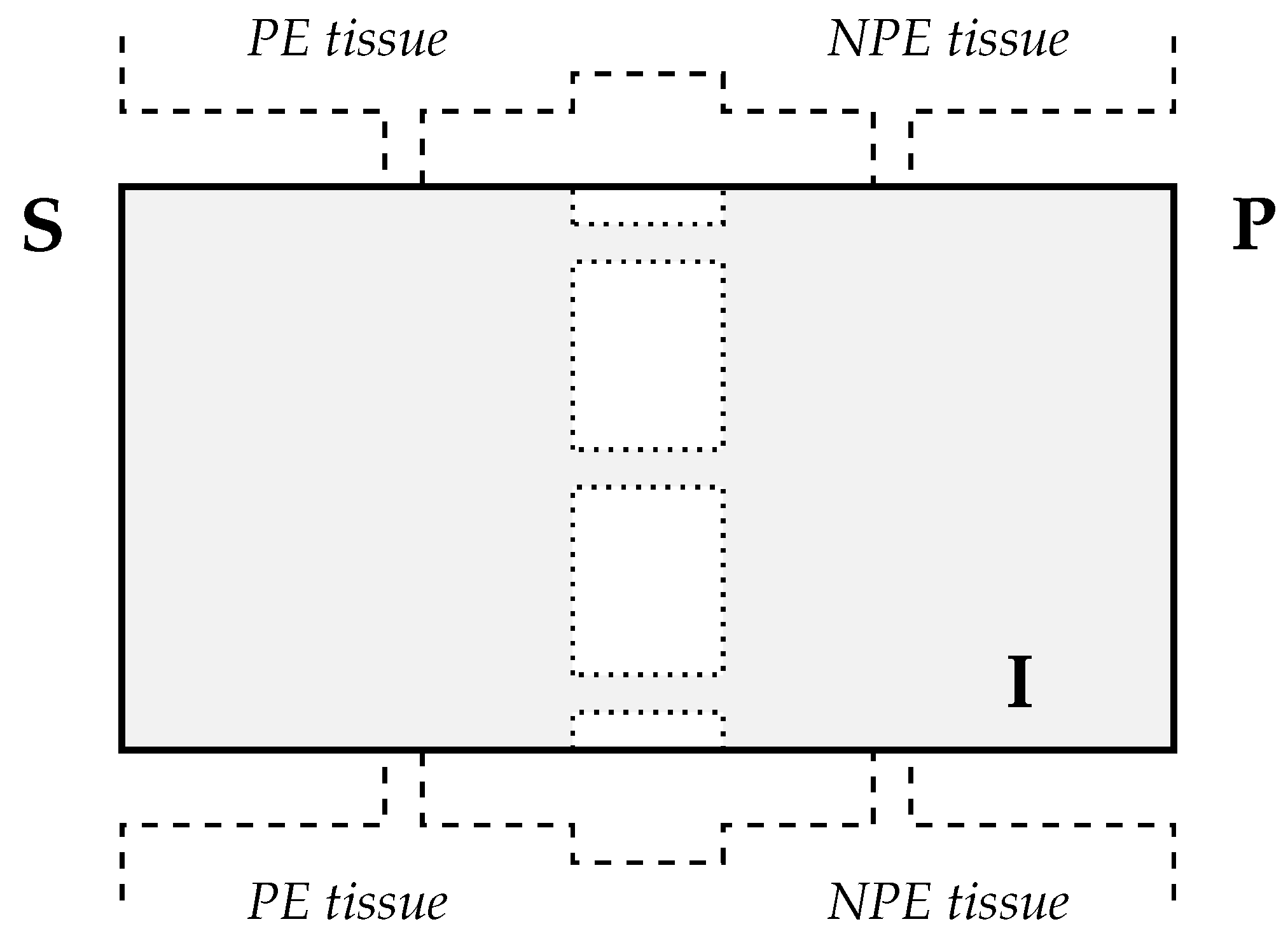 Life 10 00008 g004 Life 10 00008 g004