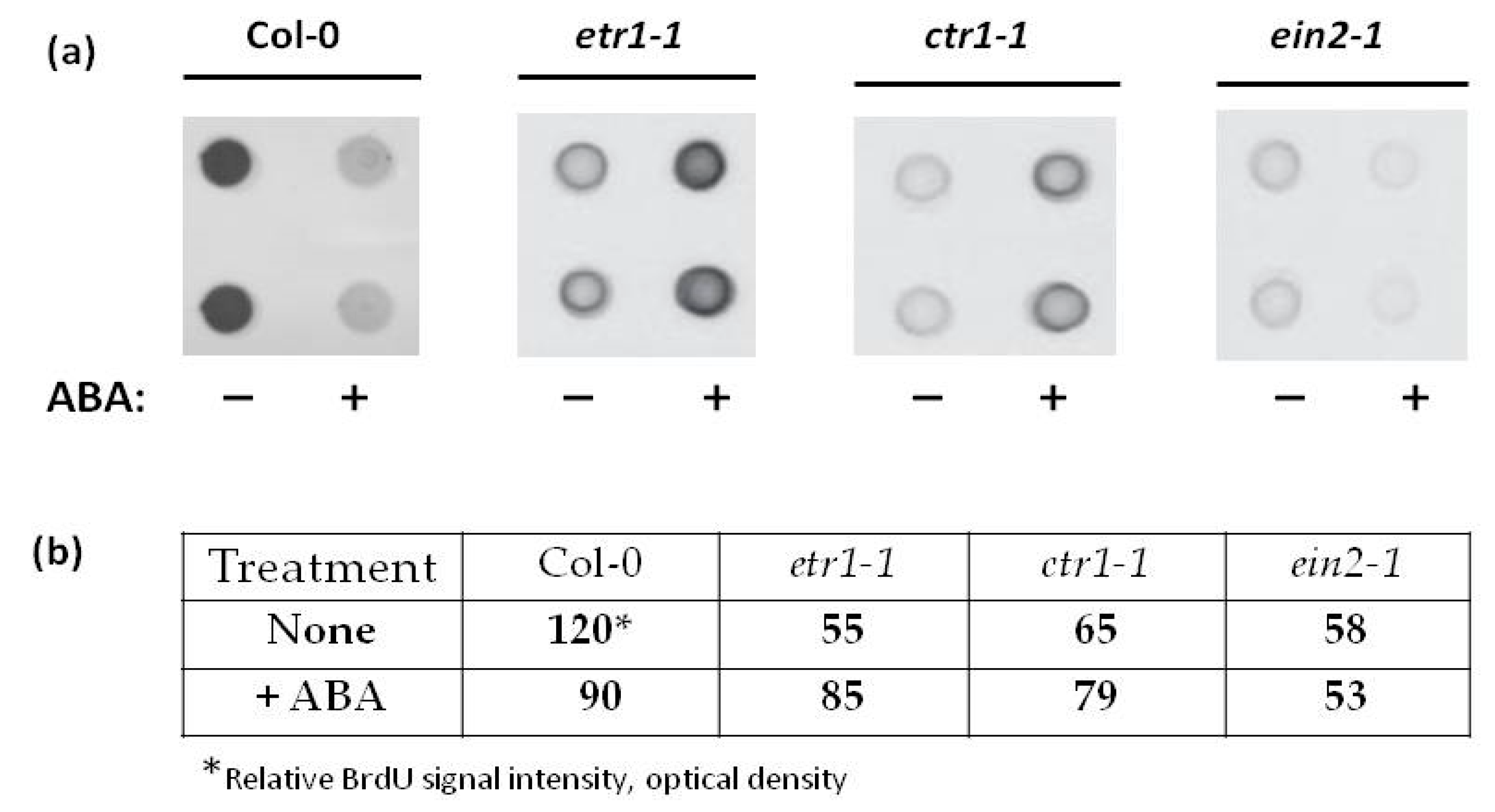 Life 10 00015 g002 Life 10 00015 g002