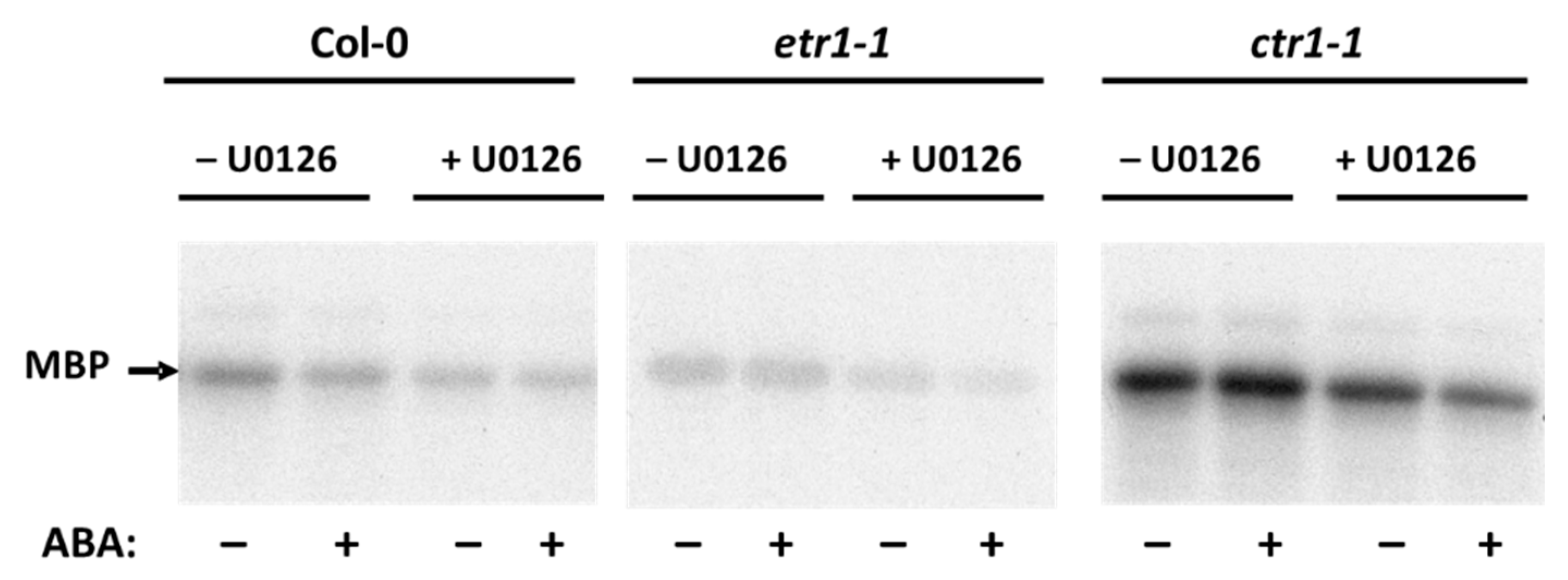 Life 10 00015 g003 Life 10 00015 g003