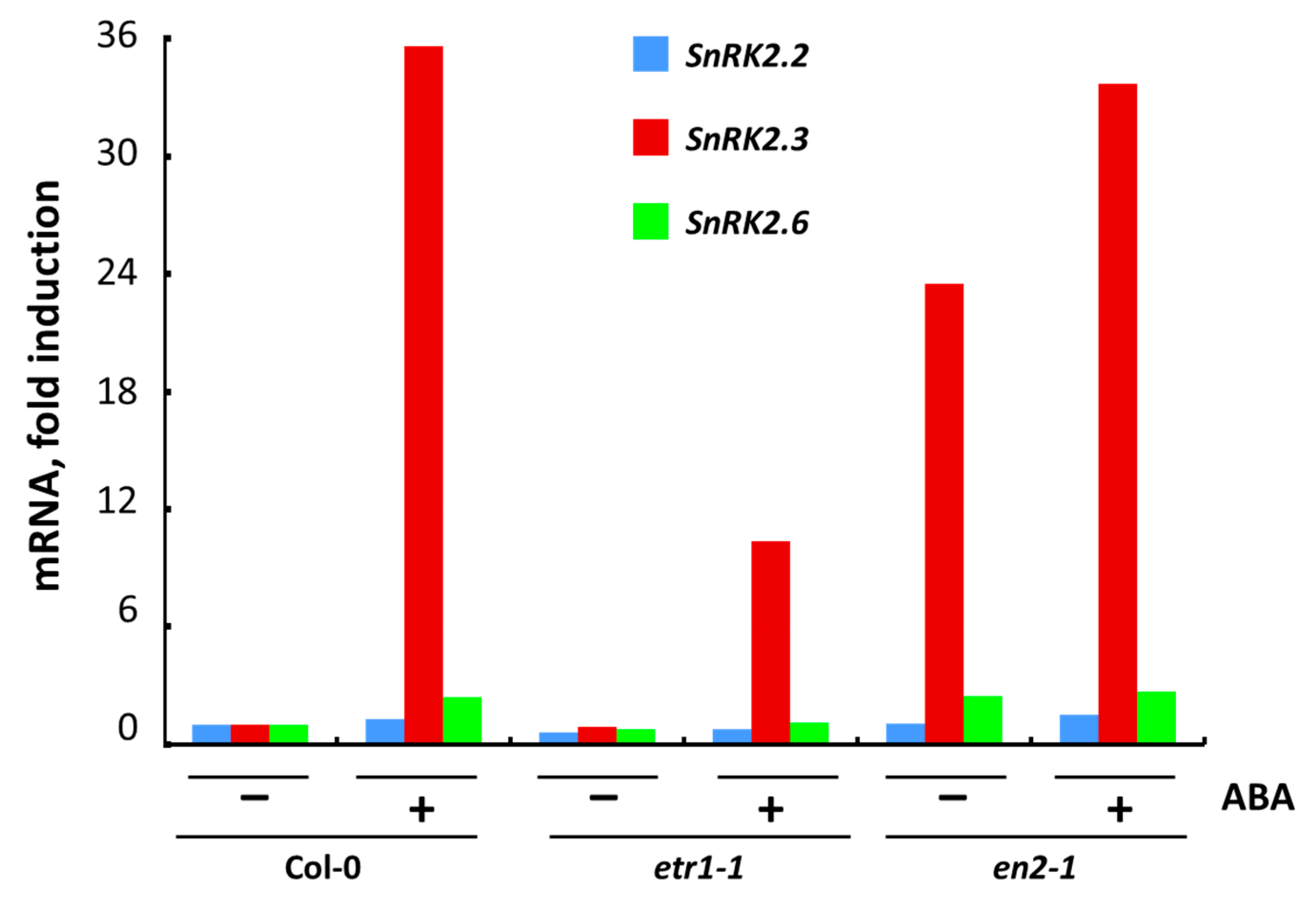 Life 10 00015 g005 Life 10 00015 g005