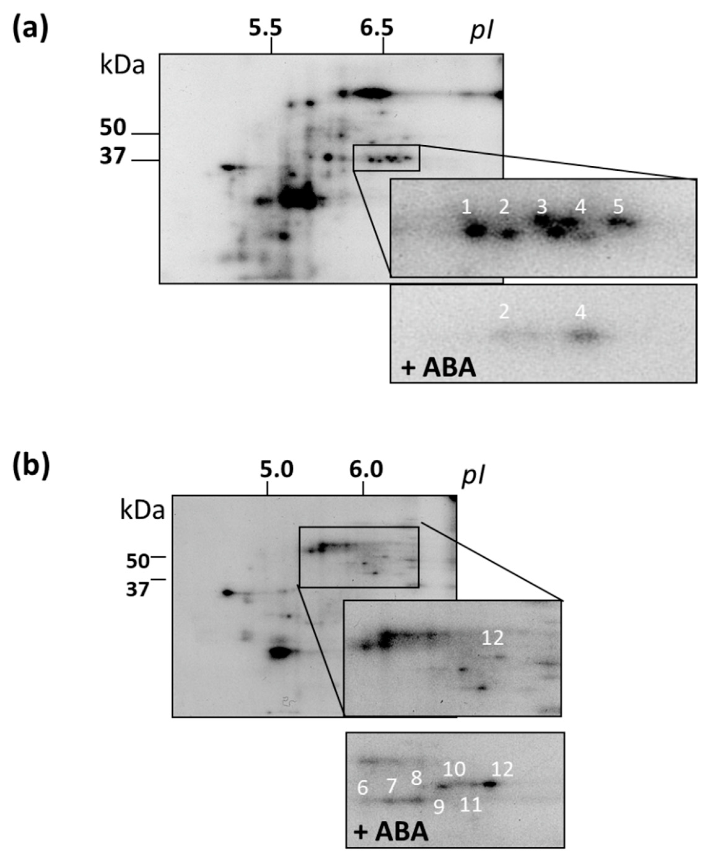 Life 10 00015 g007 Life 10 00015 g007