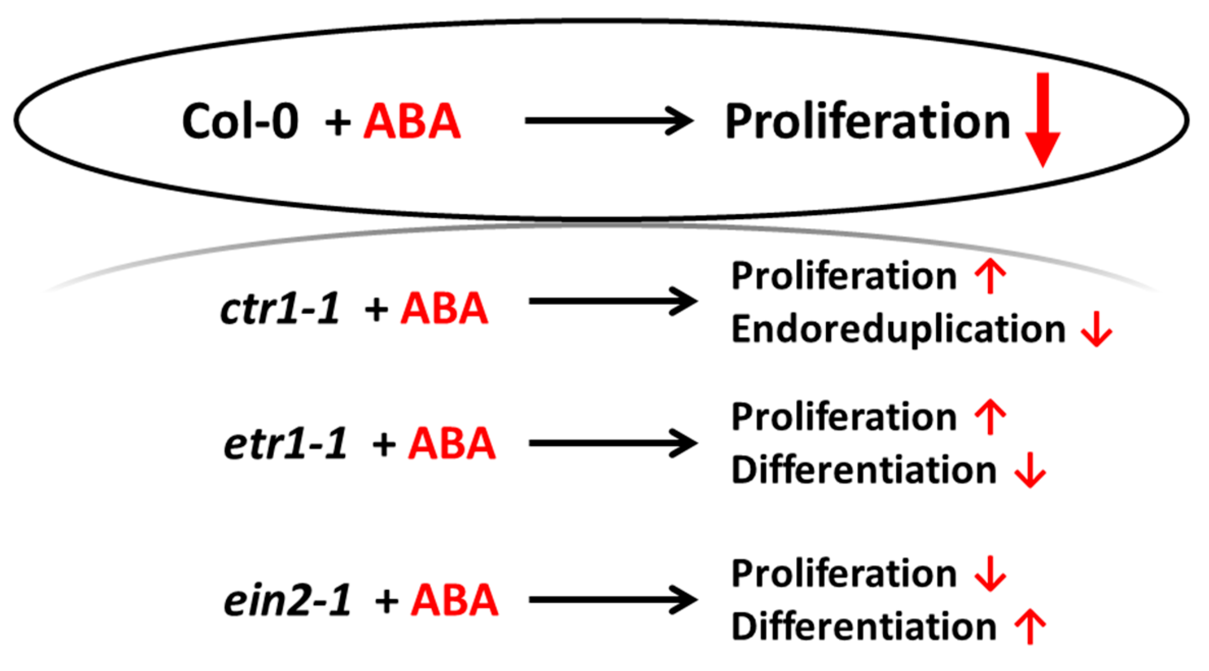 Life 10 00015 g008 Life 10 00015 g008