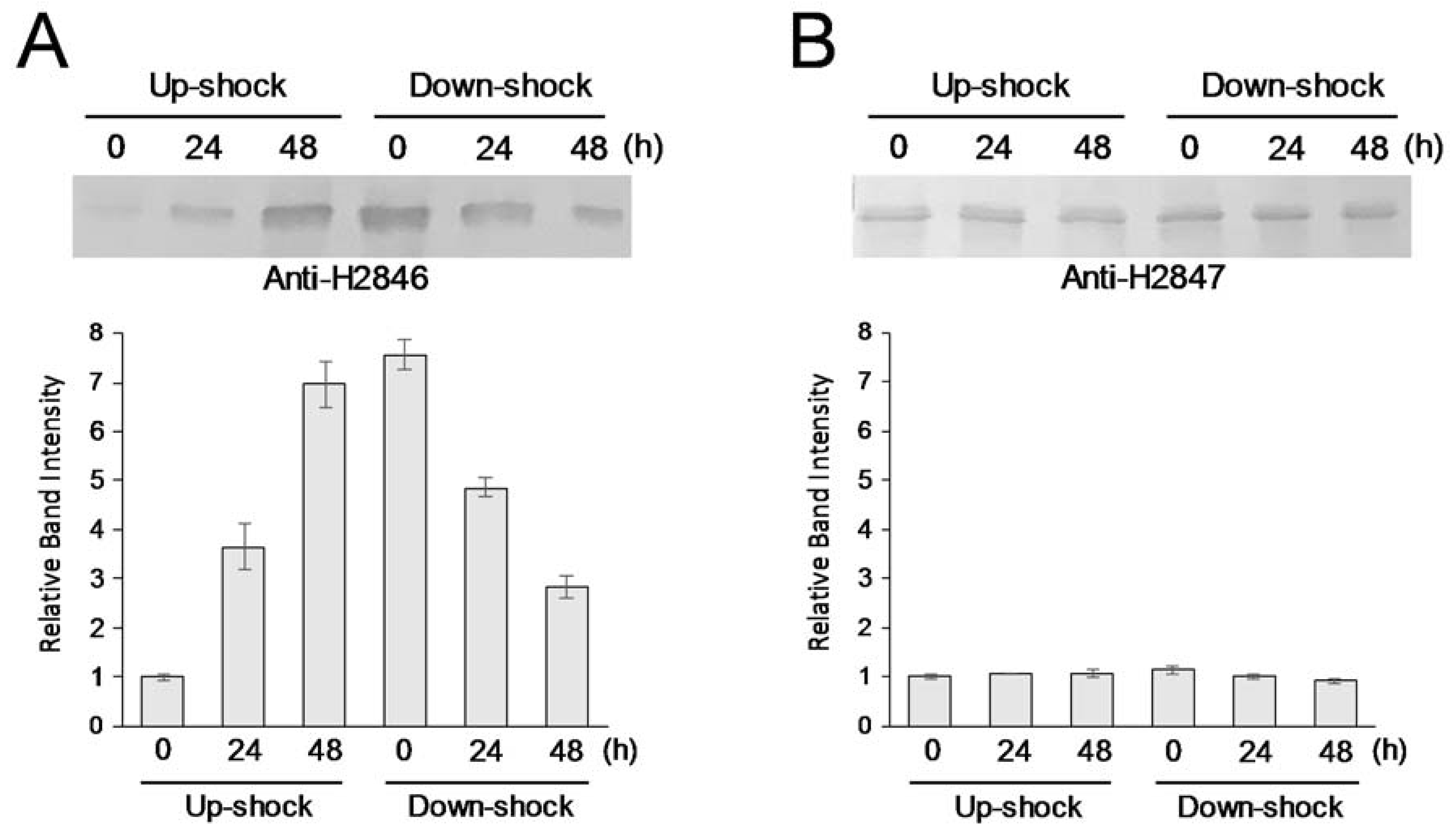 Life 10 00023 g002 Life 10 00023 g002