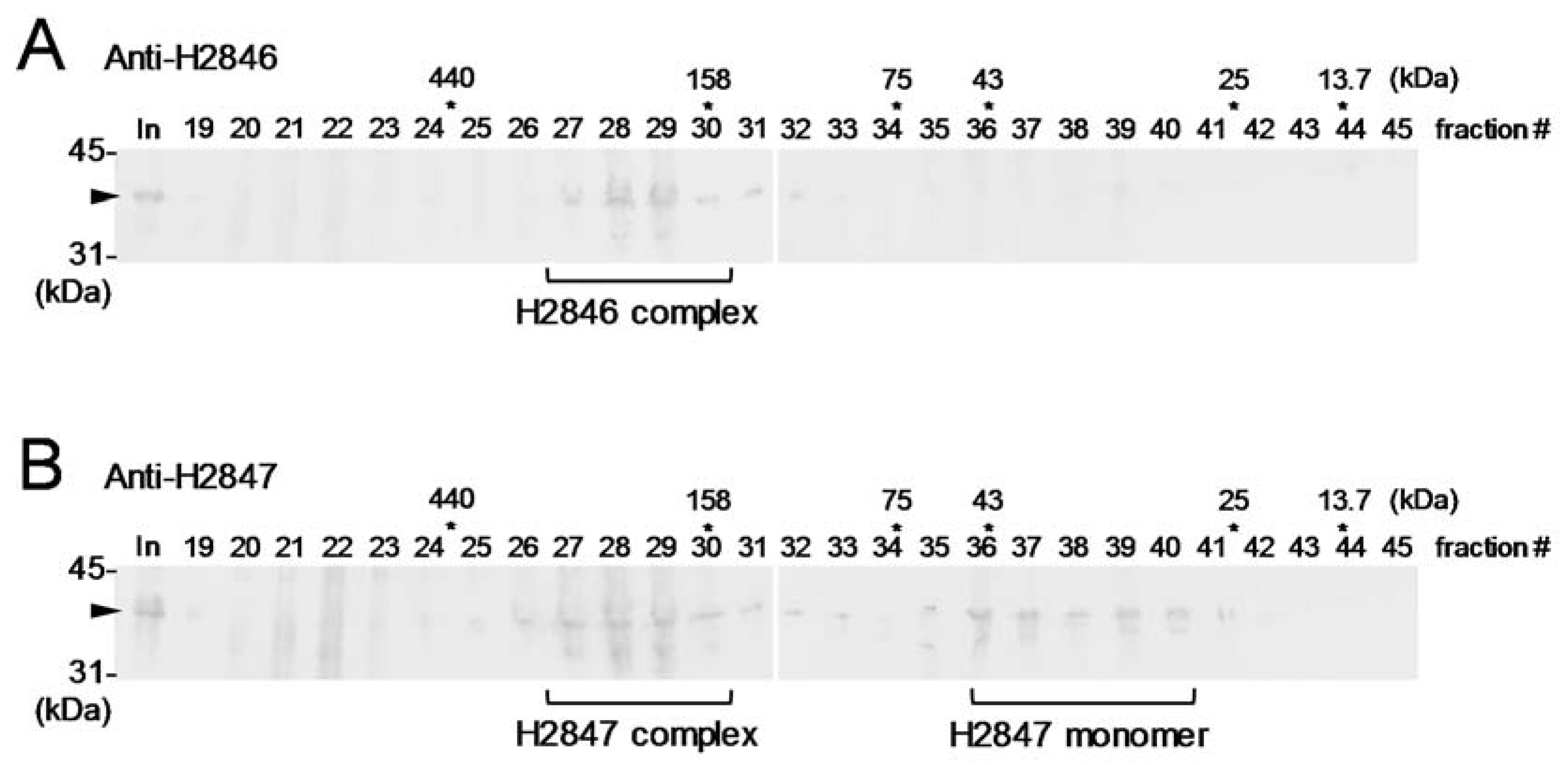 Life 10 00023 g003 Life 10 00023 g003