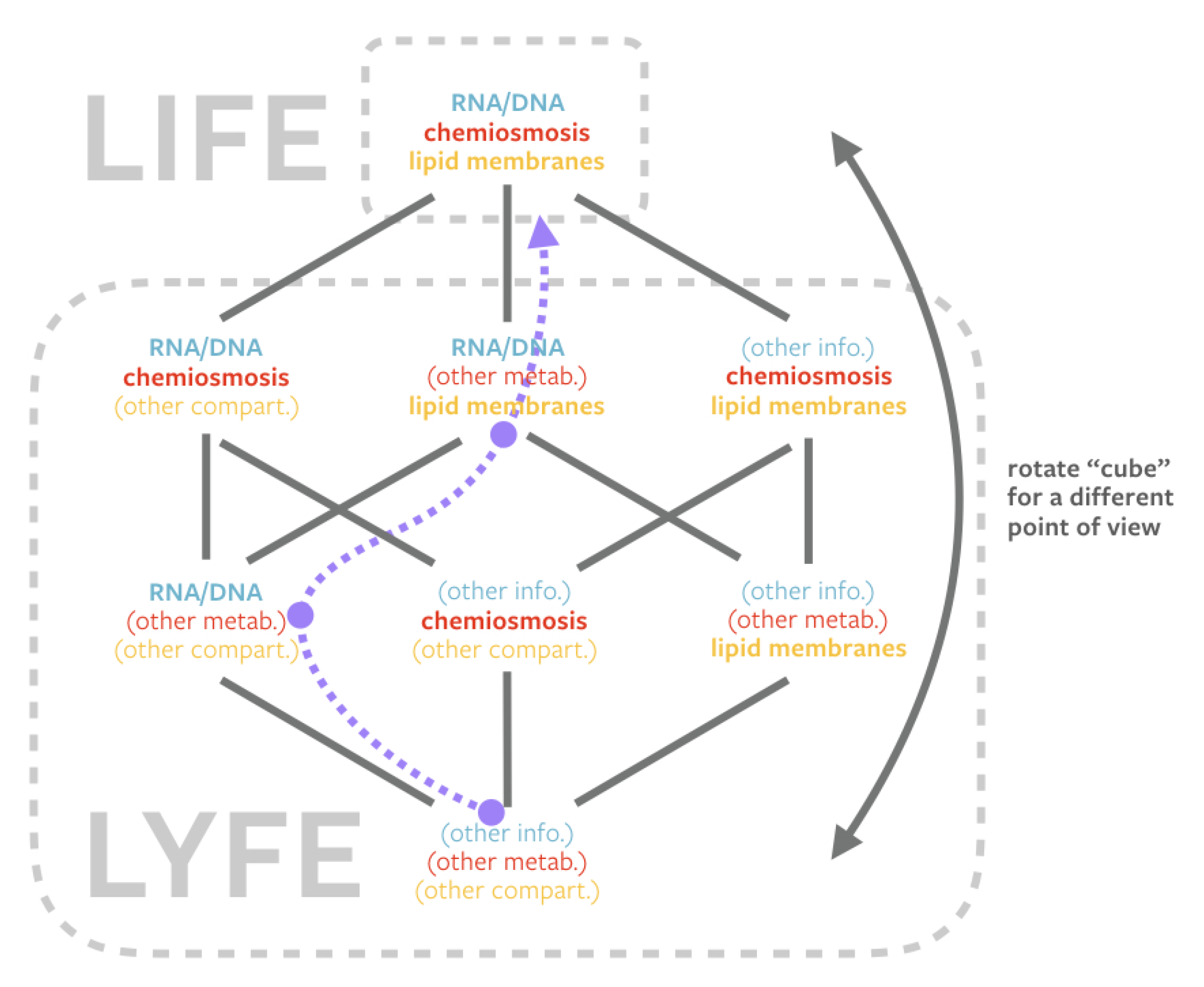 Life 10 00042 g006