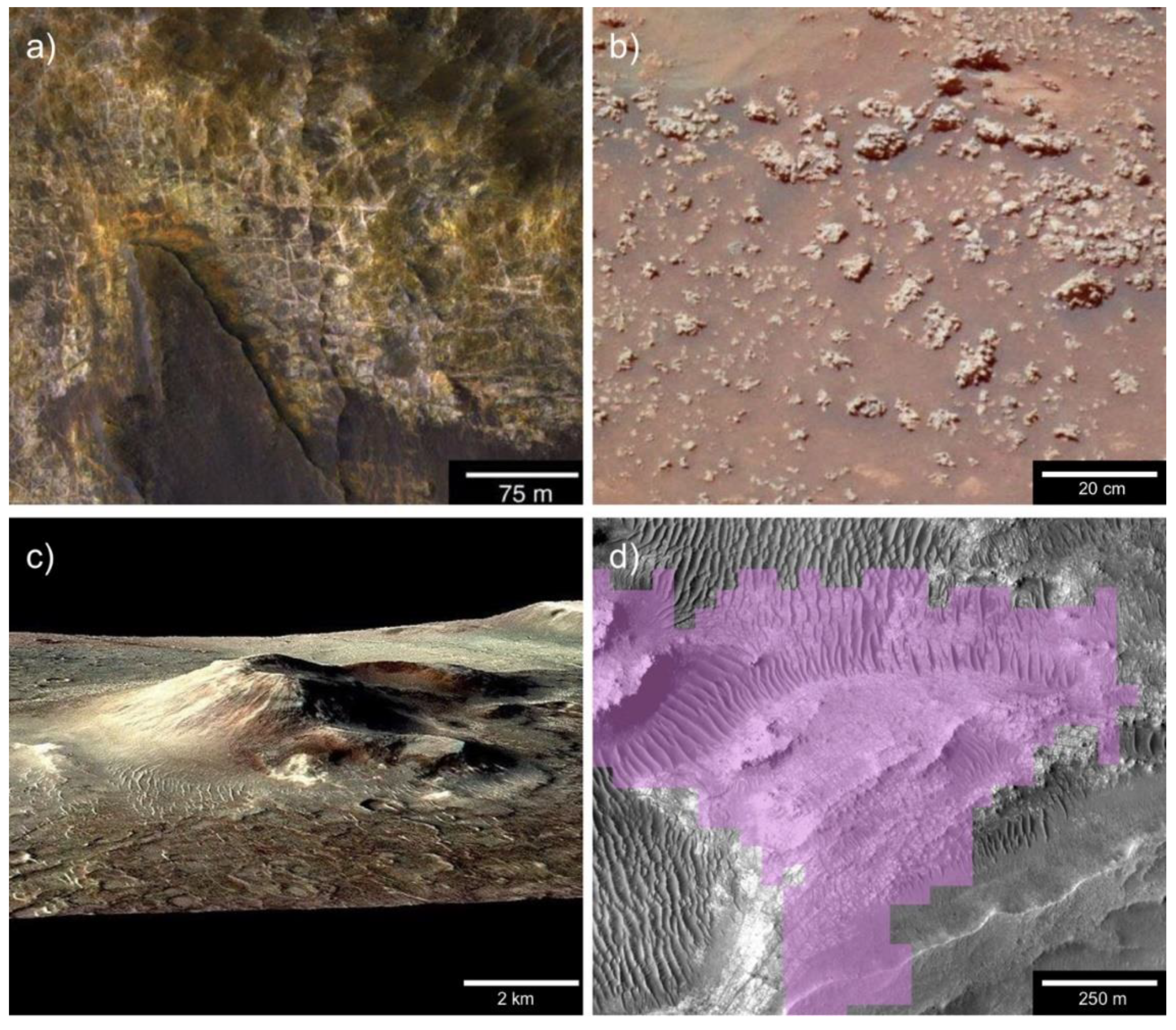 Life 10 00052 g003 Life 10 00052 g003