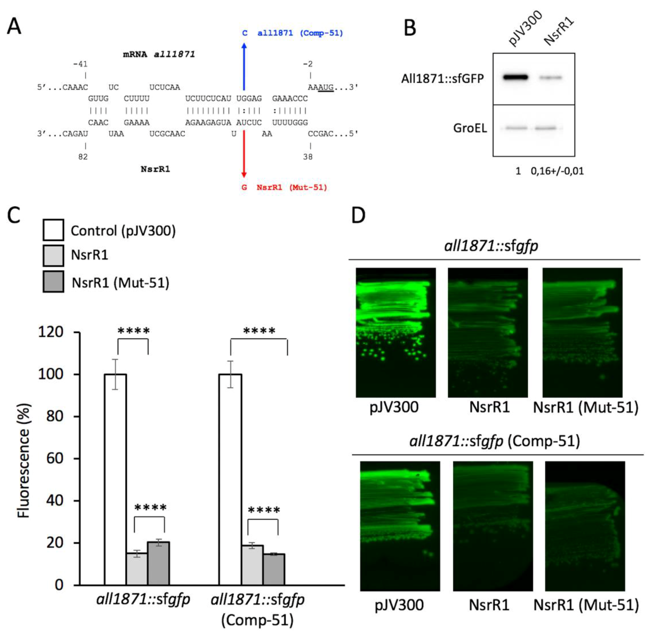 Life 10 00054 g001 Life 10 00054 g001