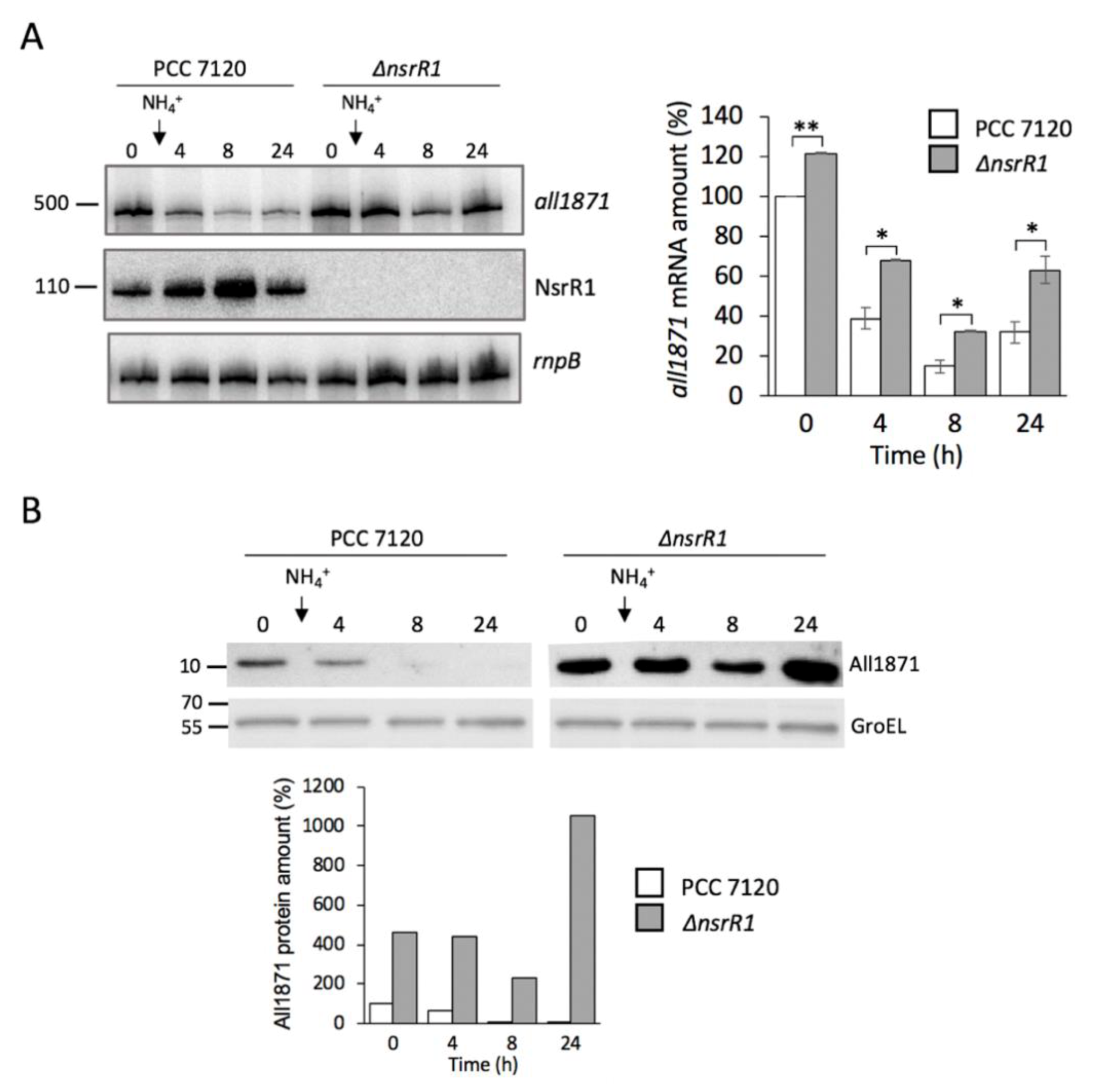 Life 10 00054 g004 Life 10 00054 g004