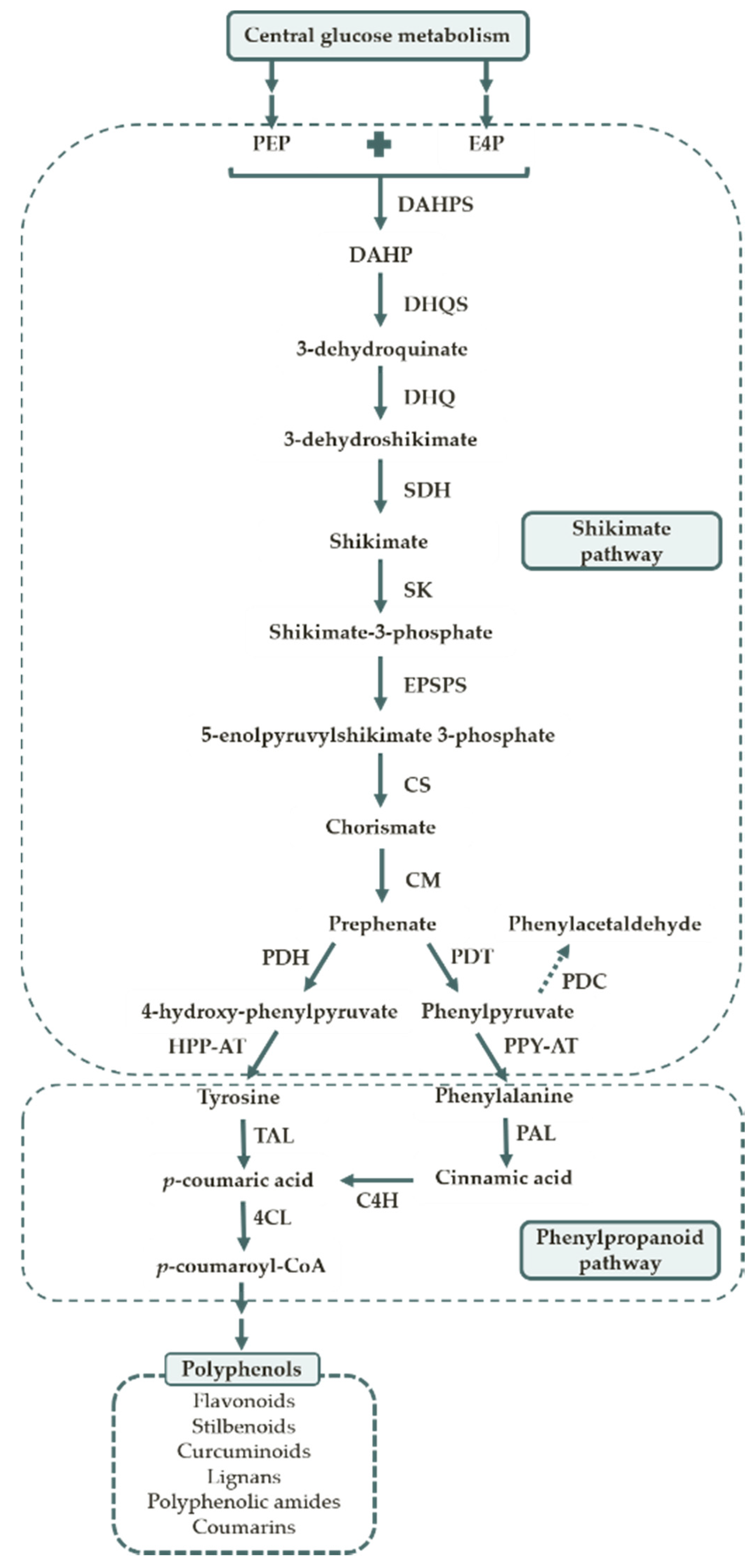 Life 10 00056 g002 Life 10 00056 g002