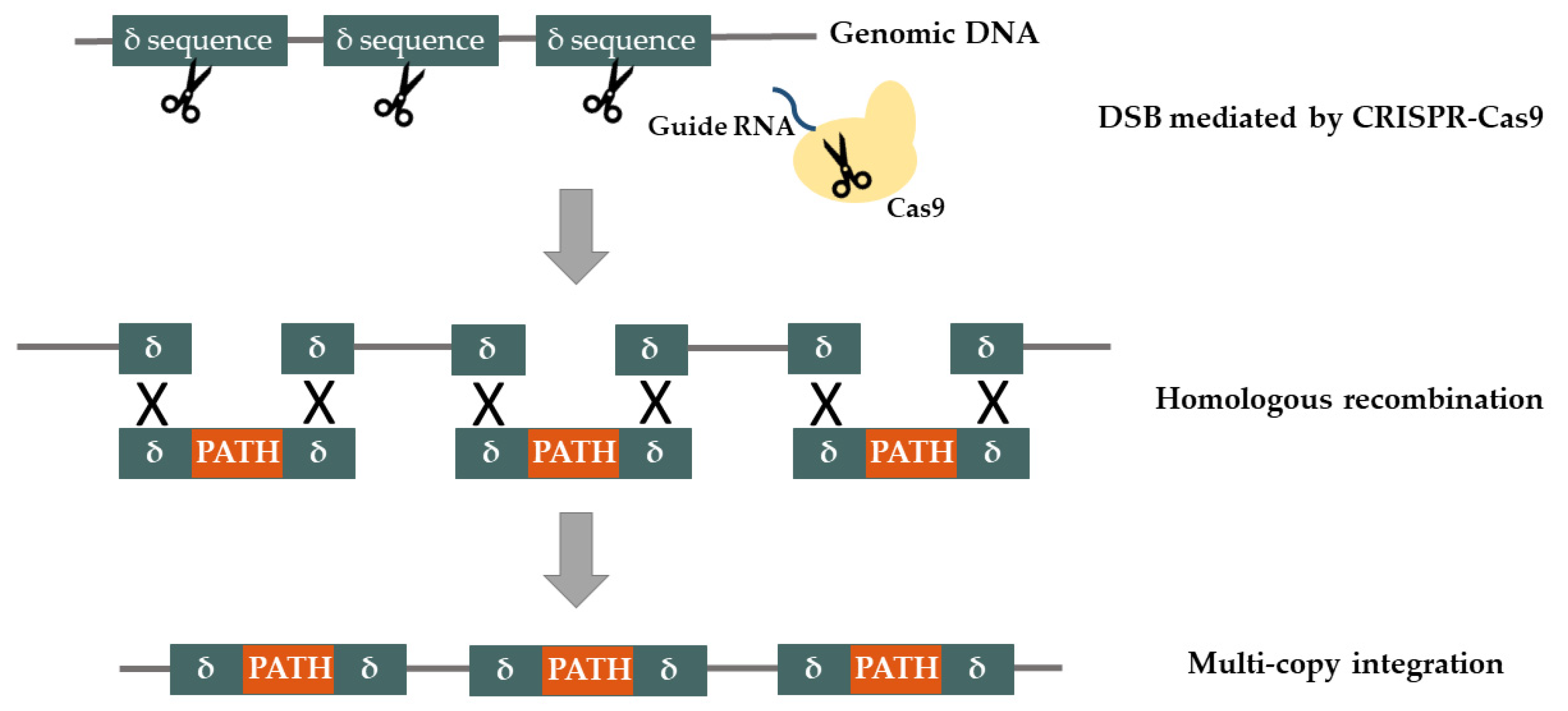 Life 10 00056 g004 Life 10 00056 g004