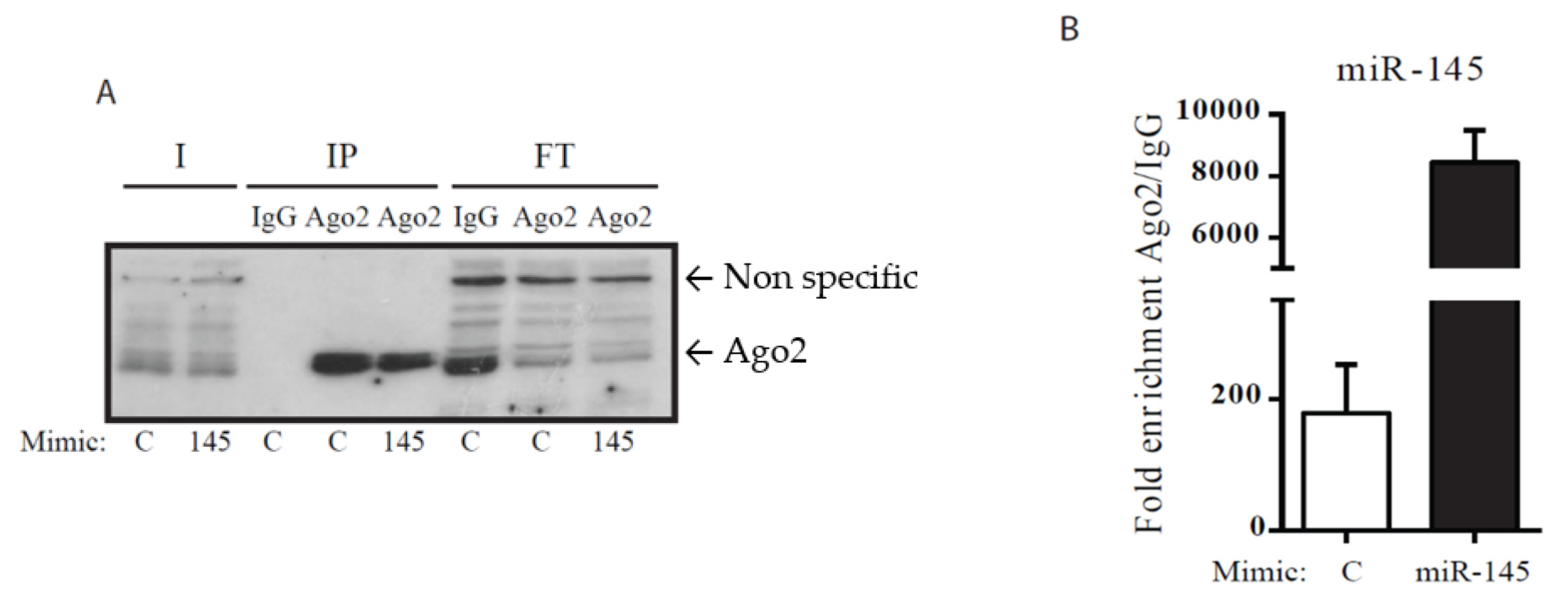 Life 10 00058 g001 Life 10 00058 g001